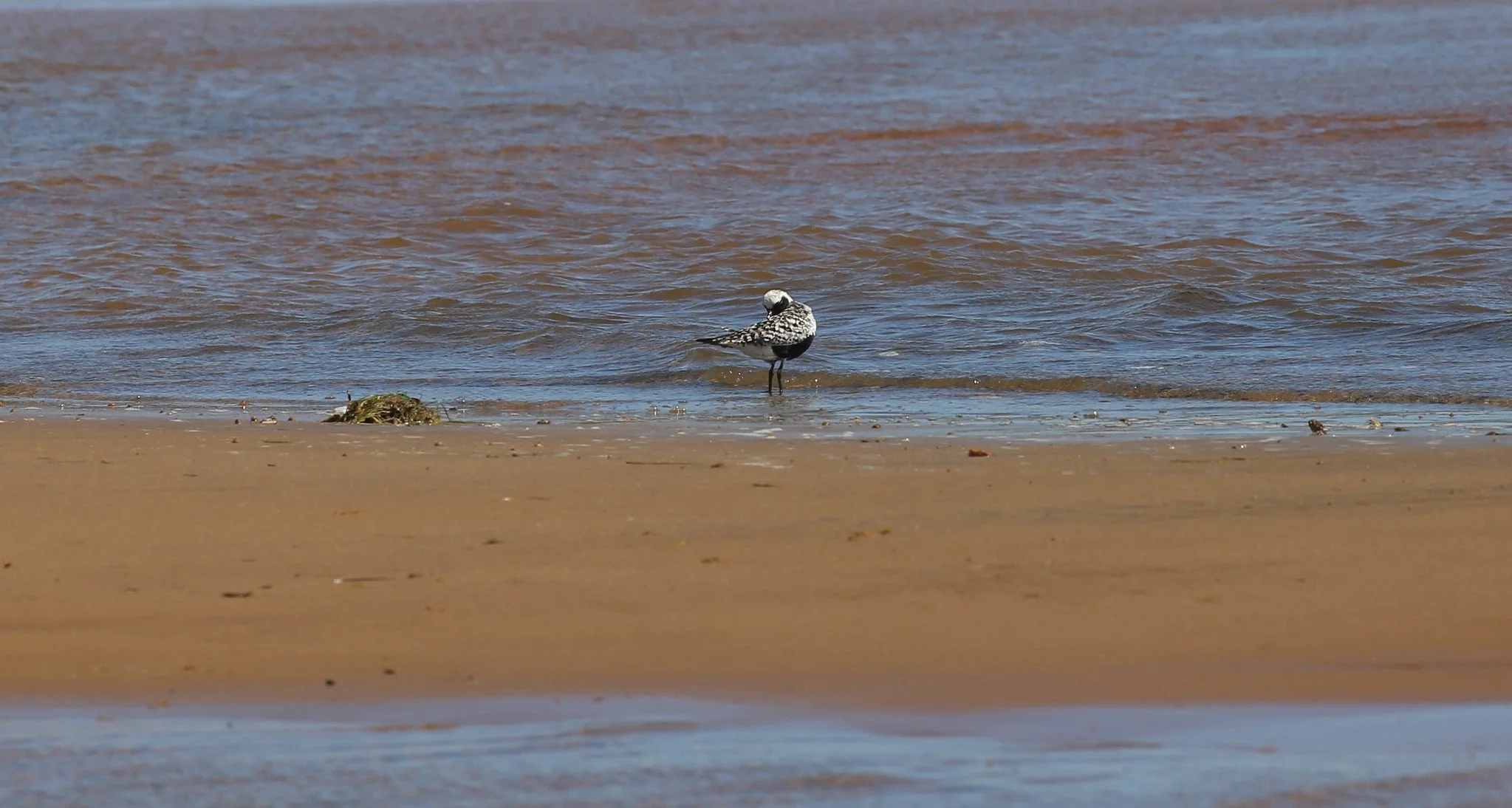 Montauk, NY, Hither Hills State Park