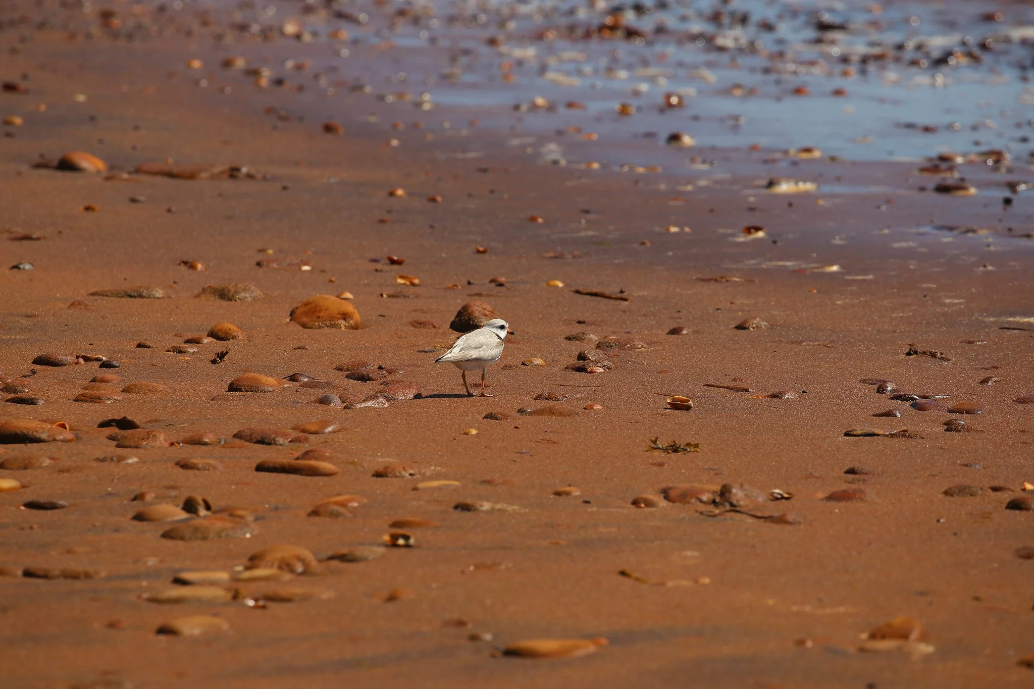 Montauk, NY, Hither Hills State Park