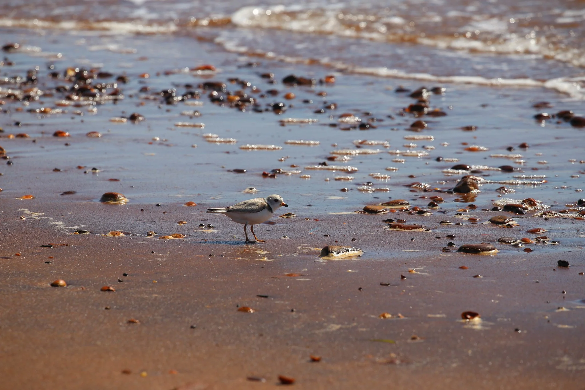 Montauk, NY, Hither Hills State Park