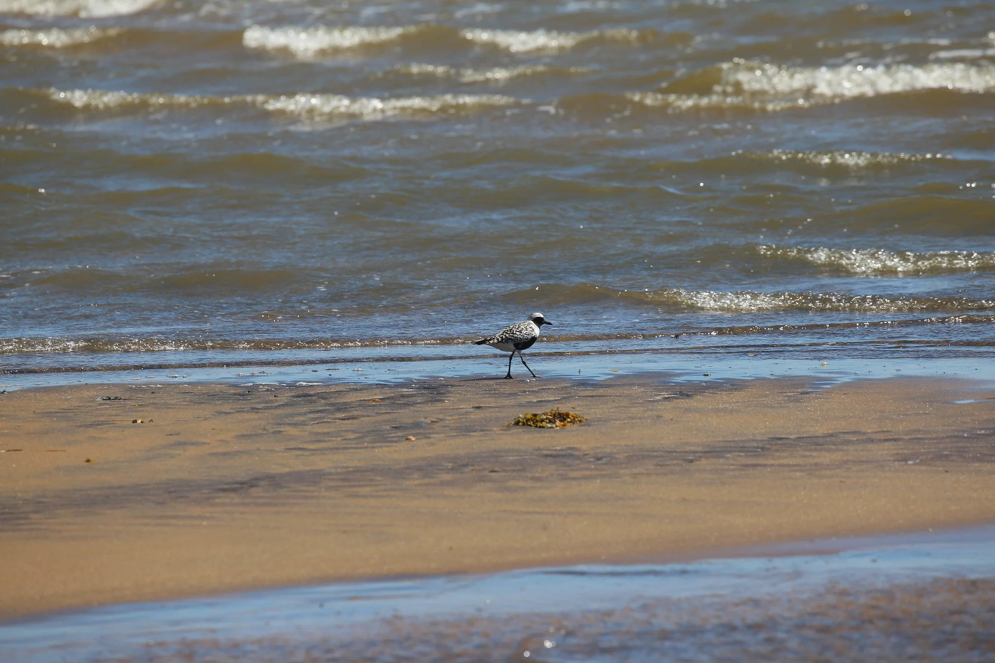 Montauk, NY, Hither Hills State Park