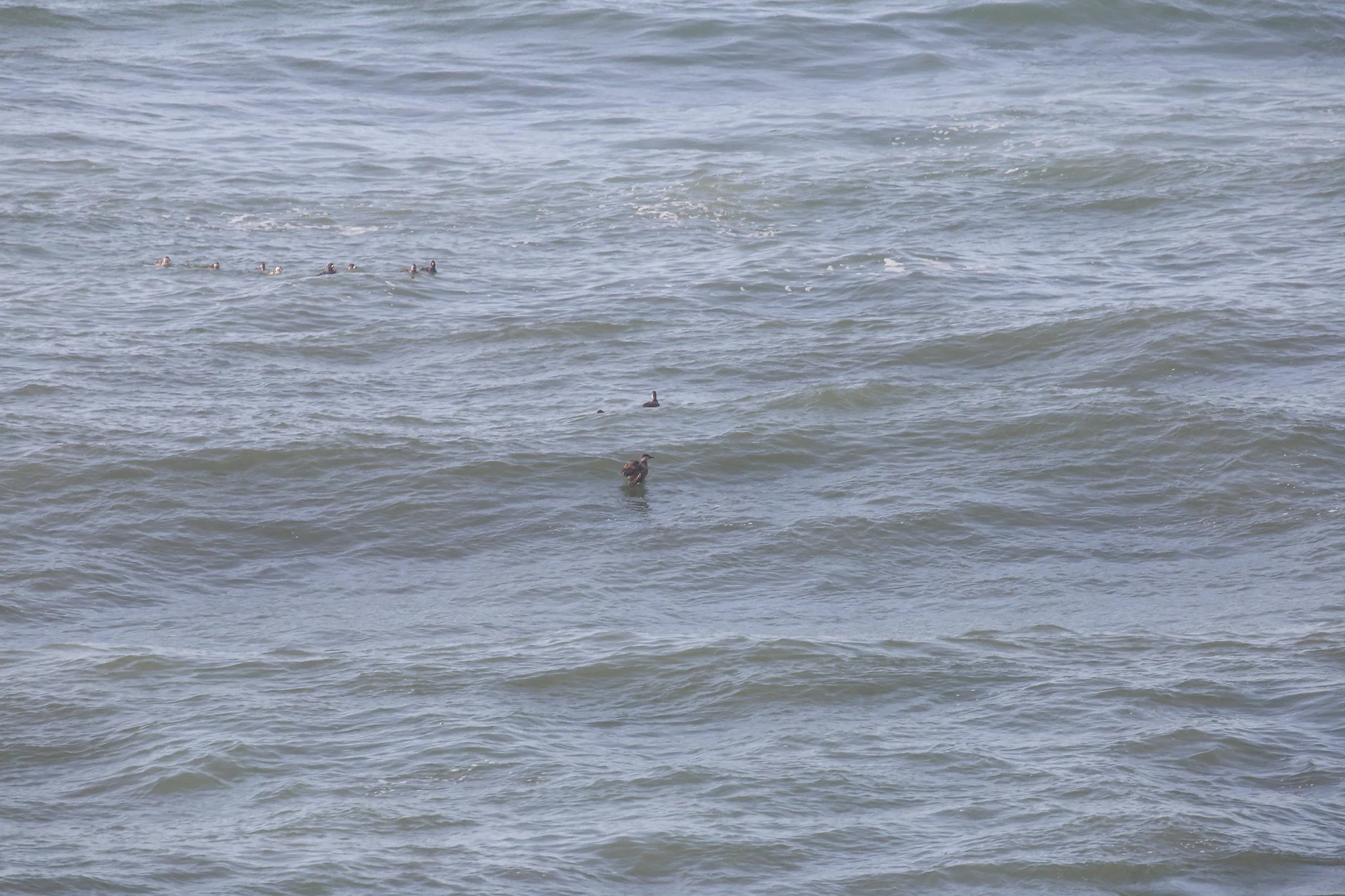 Montauk, NY, Shadmoor State Park