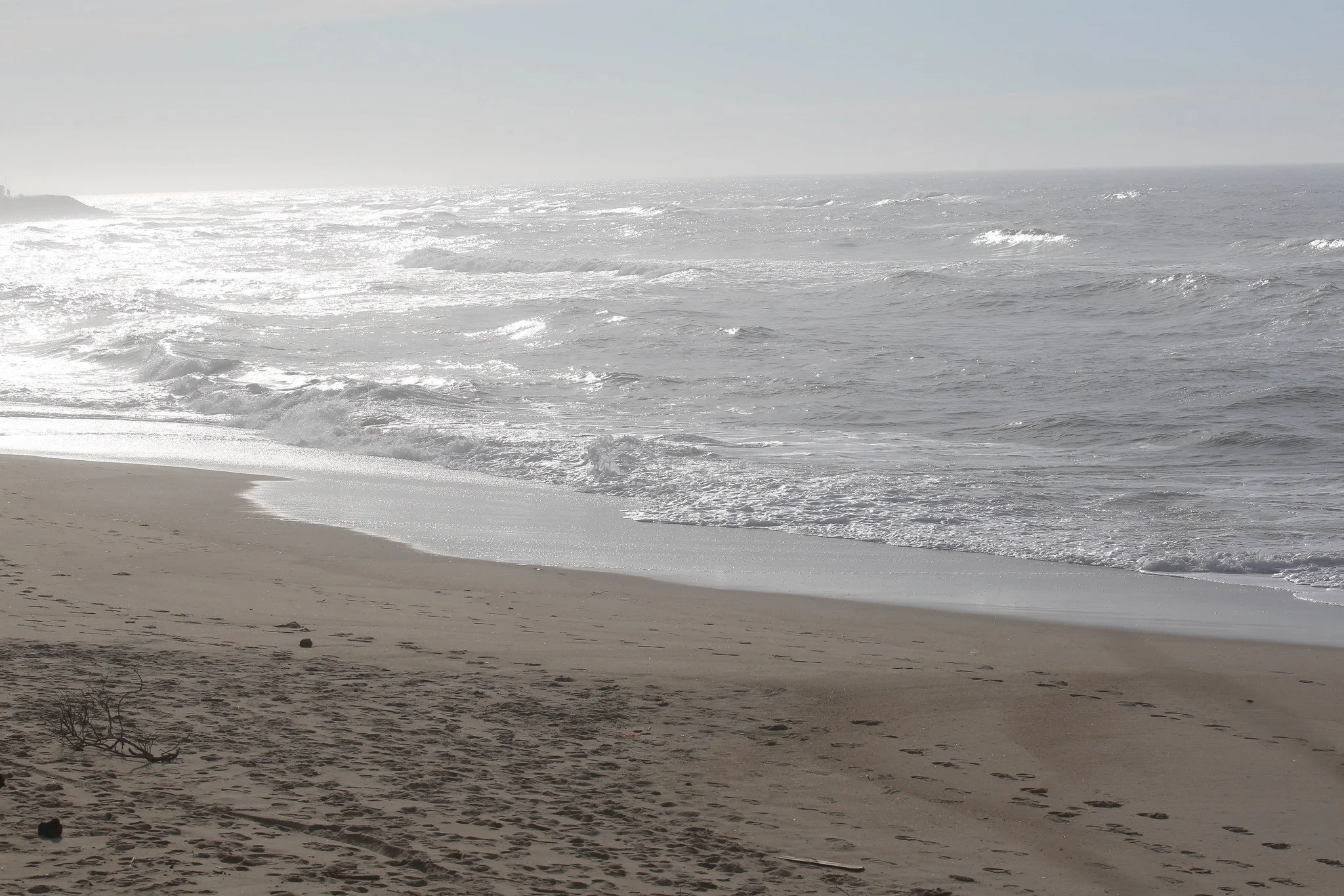 Montauk, NY, Shadmoor State Park