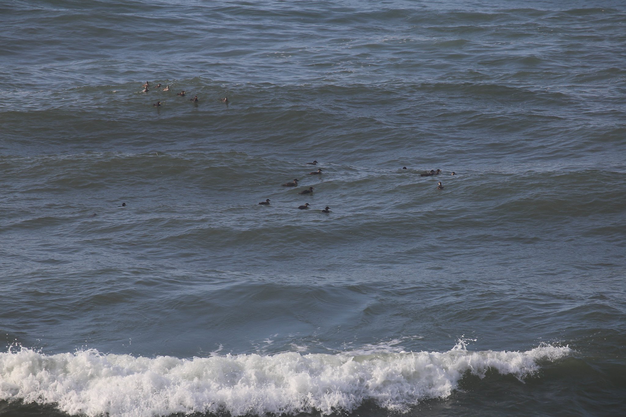 Montauk, NY, Shadmoor State Park