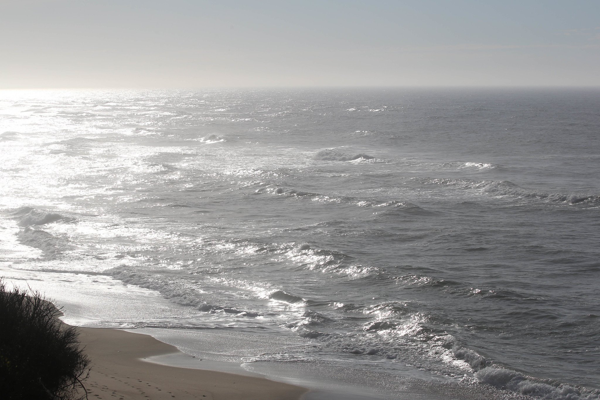 Montauk, NY, Shadmoor State Park