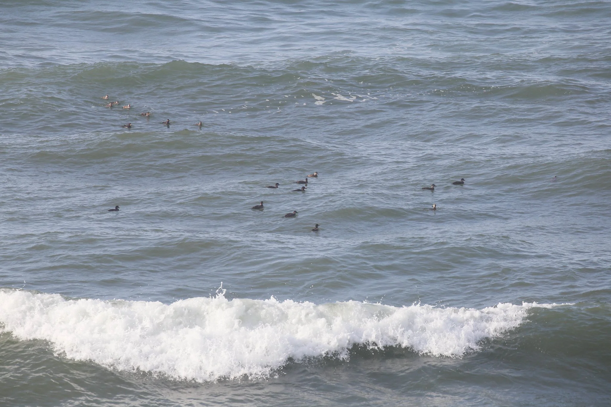 Montauk, NY, Shadmoor State Park