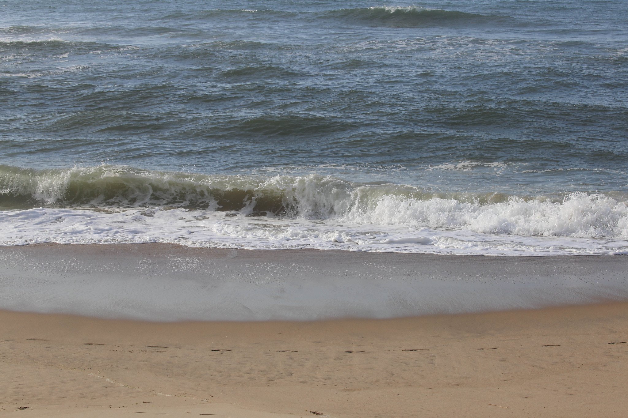 Montauk, NY, Shadmoor State Park