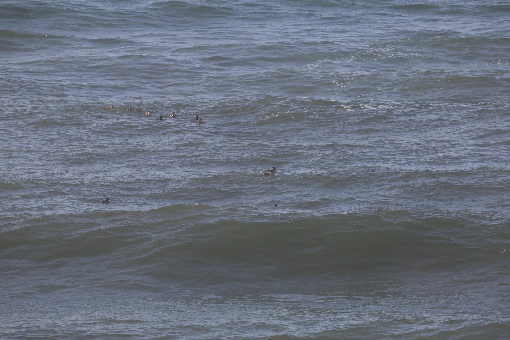 Montauk, NY, Shadmoor State Park