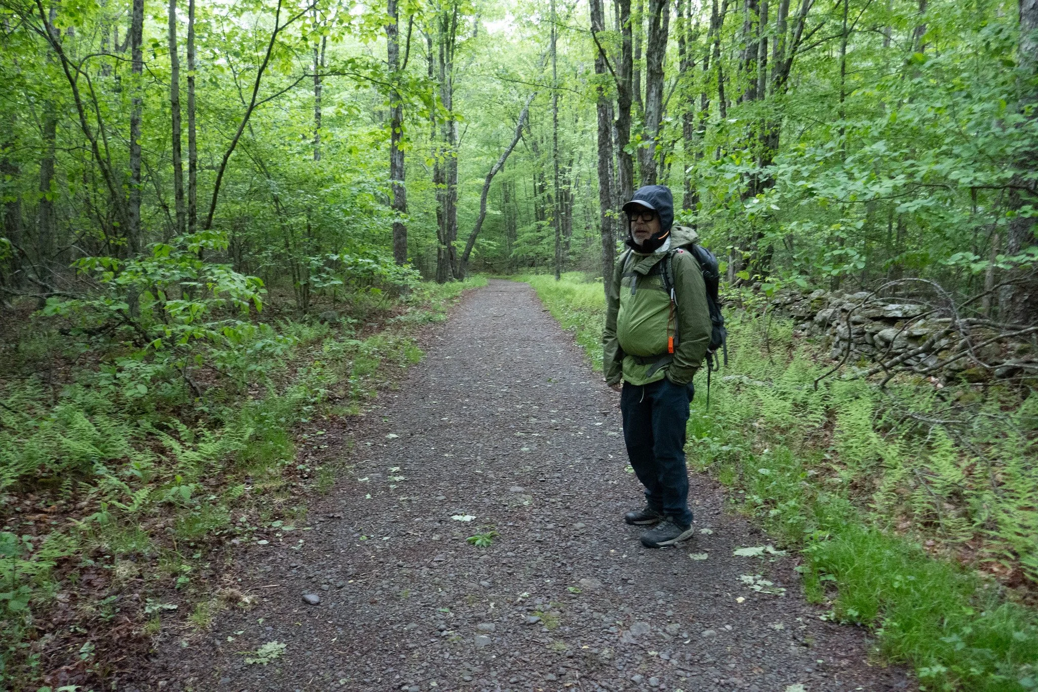 Catskills, Hunter Mountain via Spruceton Trail