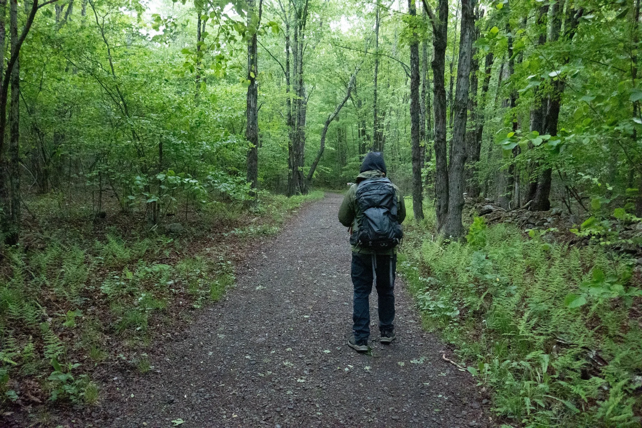 Catskills, Hunter Mountain via Spruceton Trail