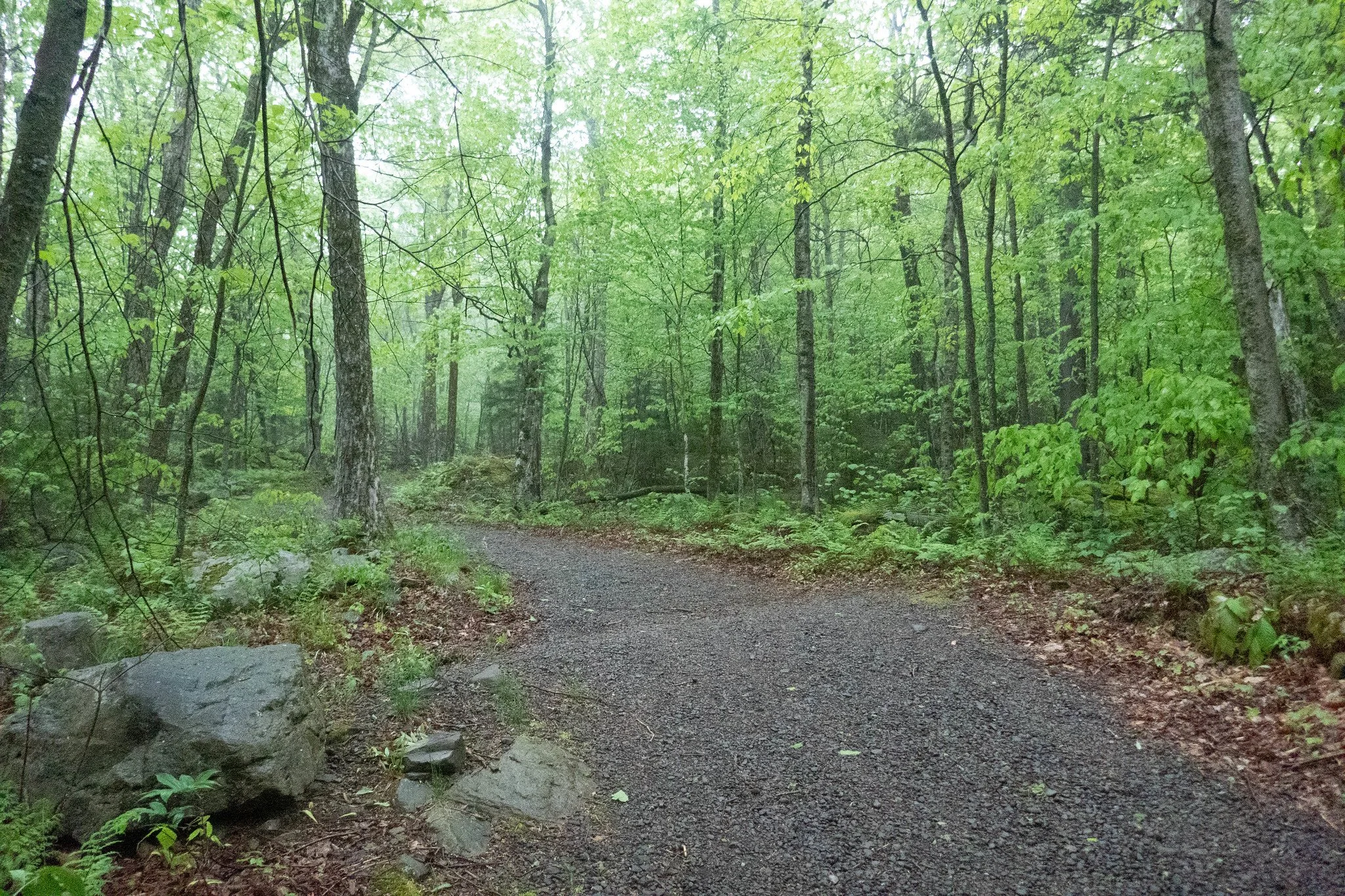 Catskills, Hunter Mountain via Spruceton Trail