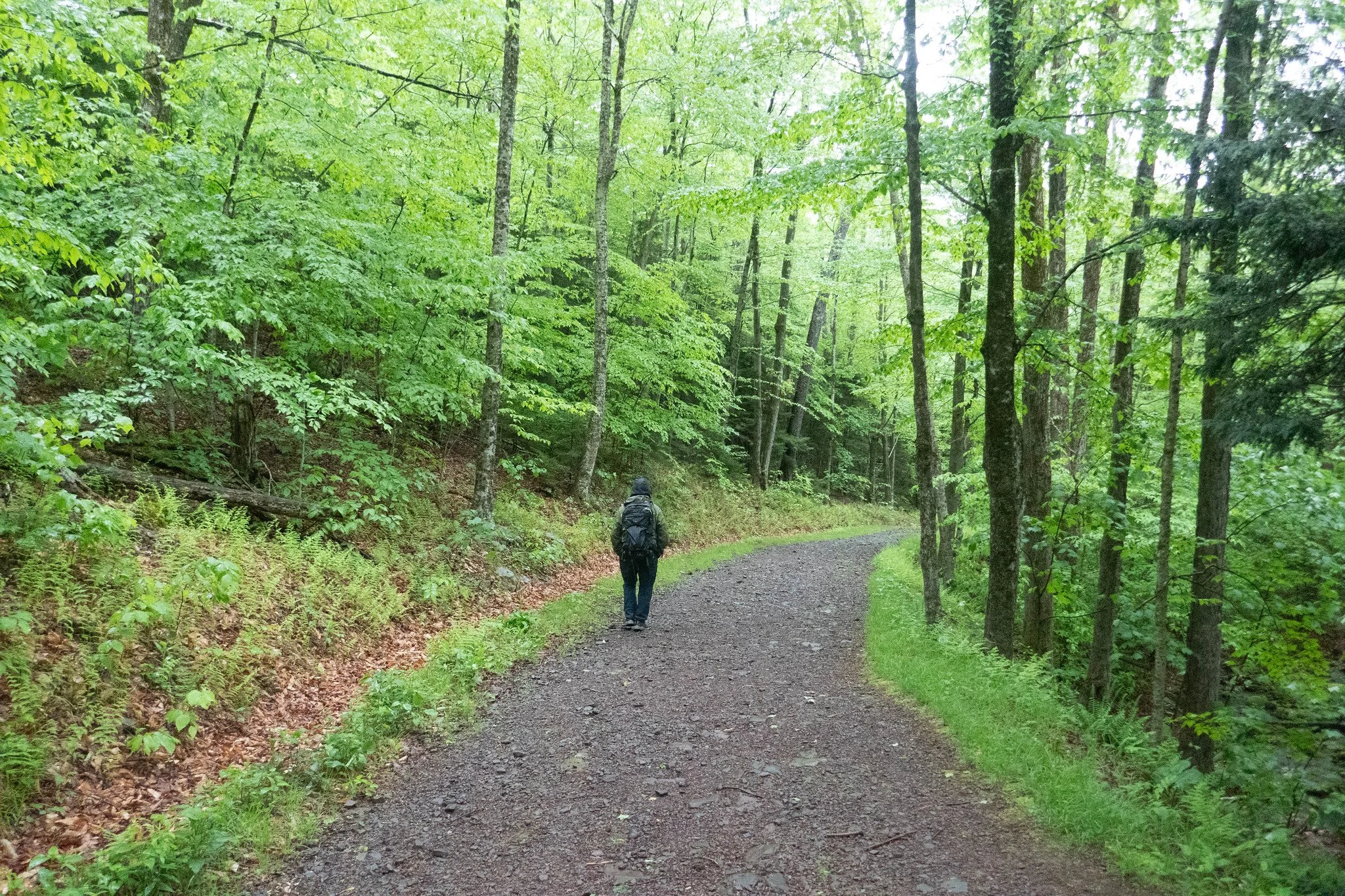 Catskills, Hunter Mountain via Spruceton Trail