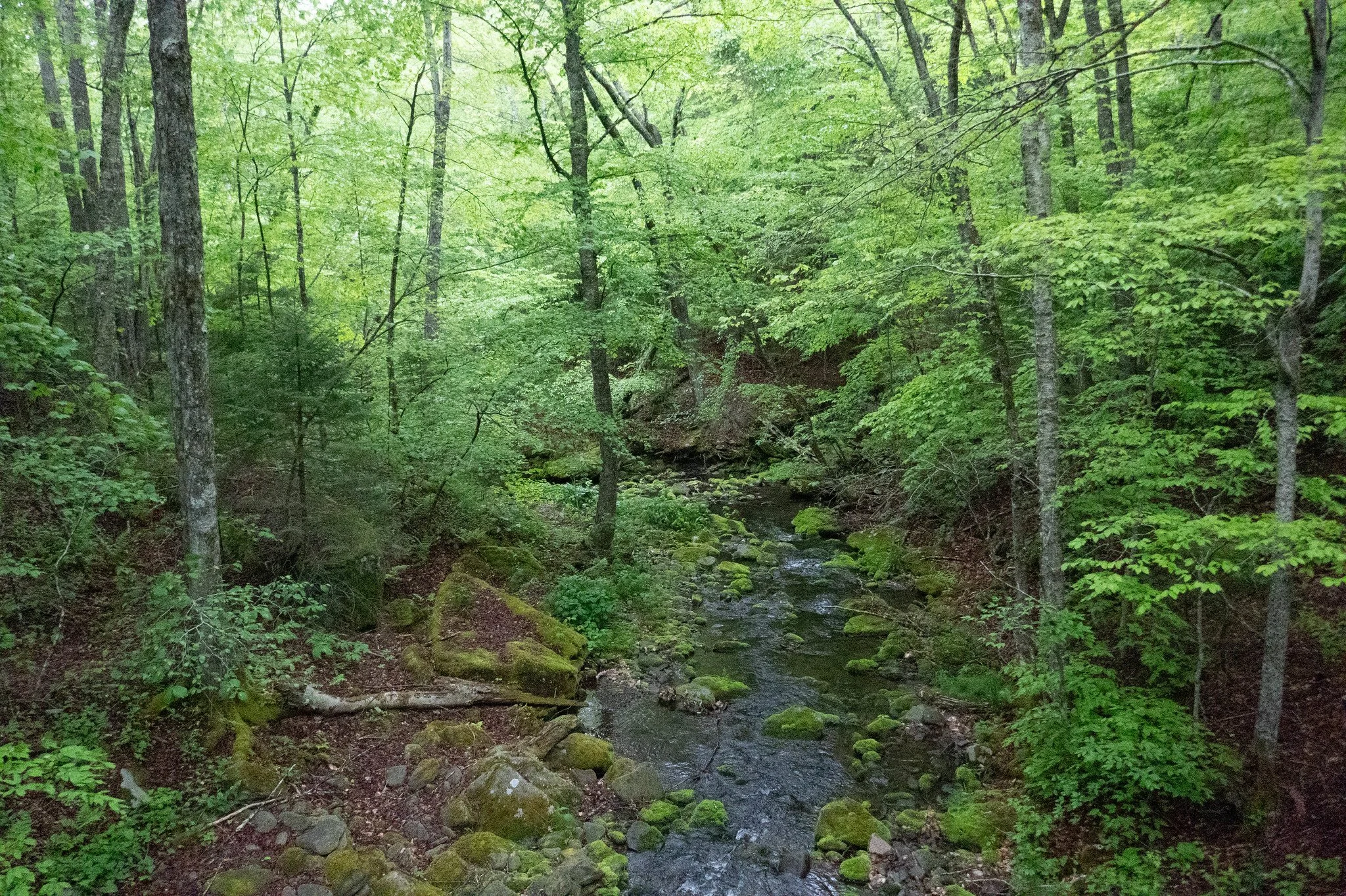 Catskills, Hunter Mountain via Spruceton Trail