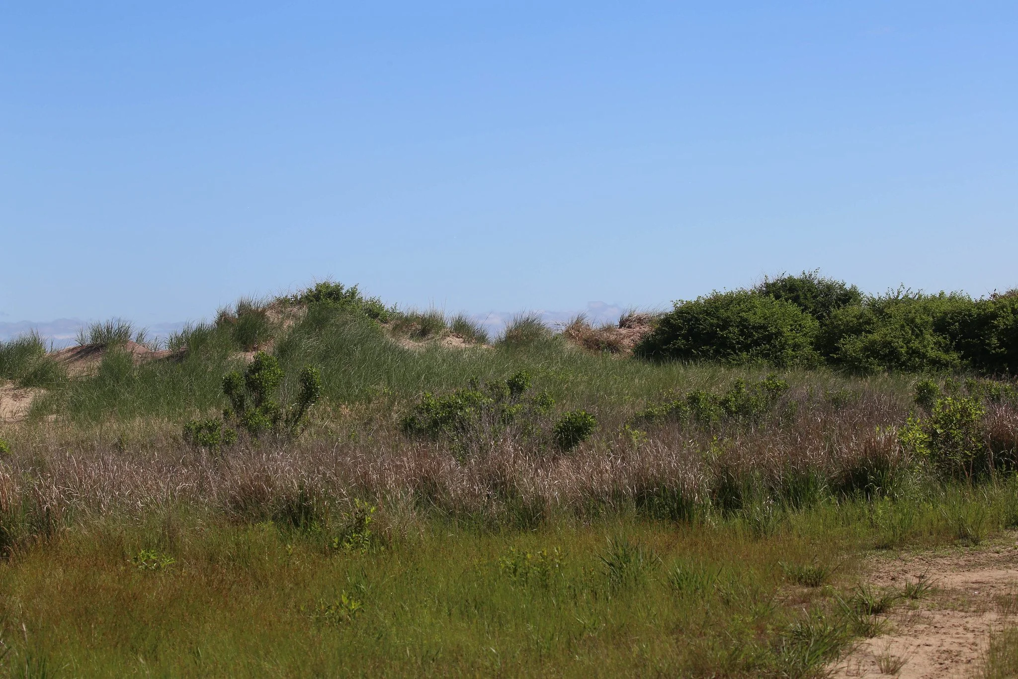 Montauk, Hither Hills State Park, Montauk Point State Park