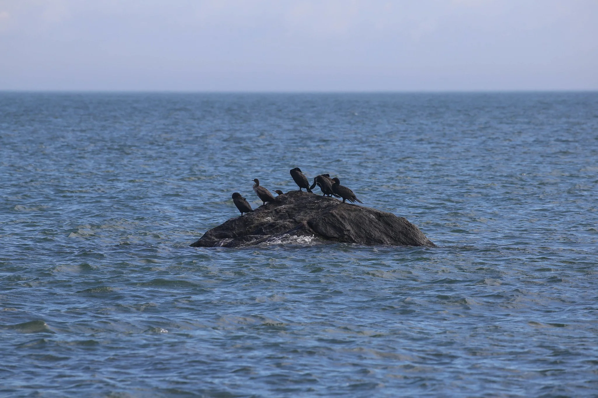 Montauk, Hither Hills State Park, Montauk Point State Park