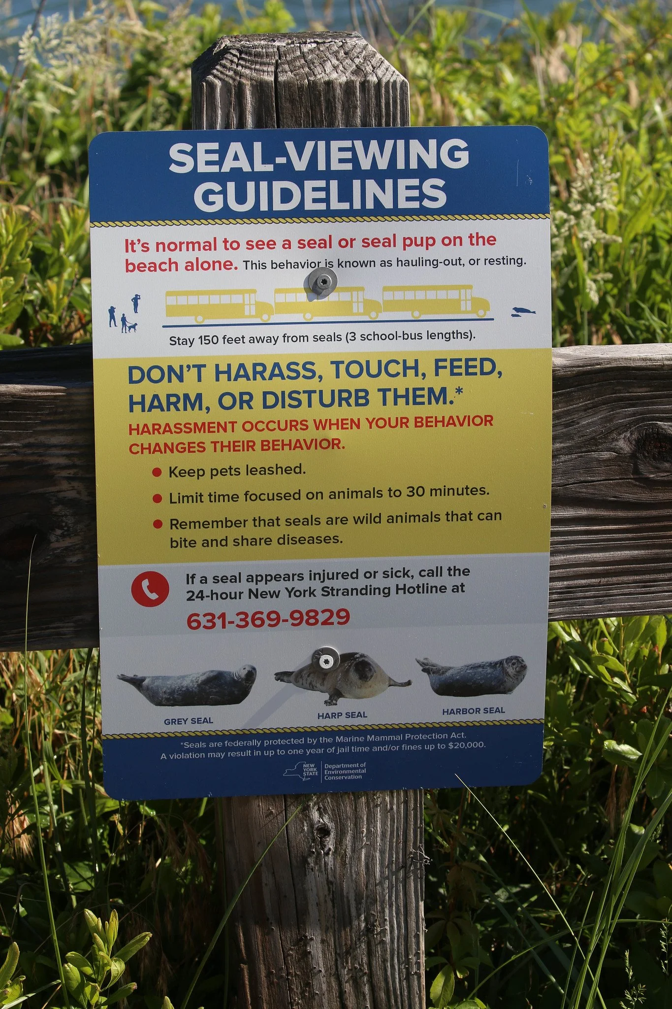 Montauk, Hither Hills State Park, Montauk Point State Park