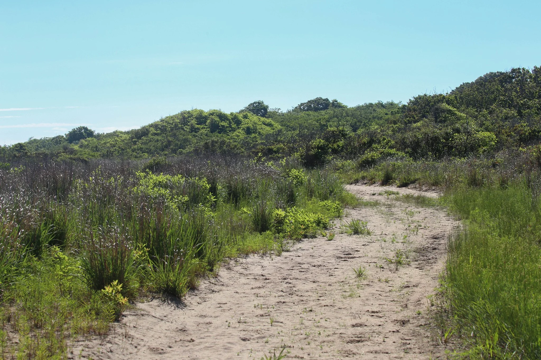 Montauk, Hither Hills State Park, Montauk Point State Park