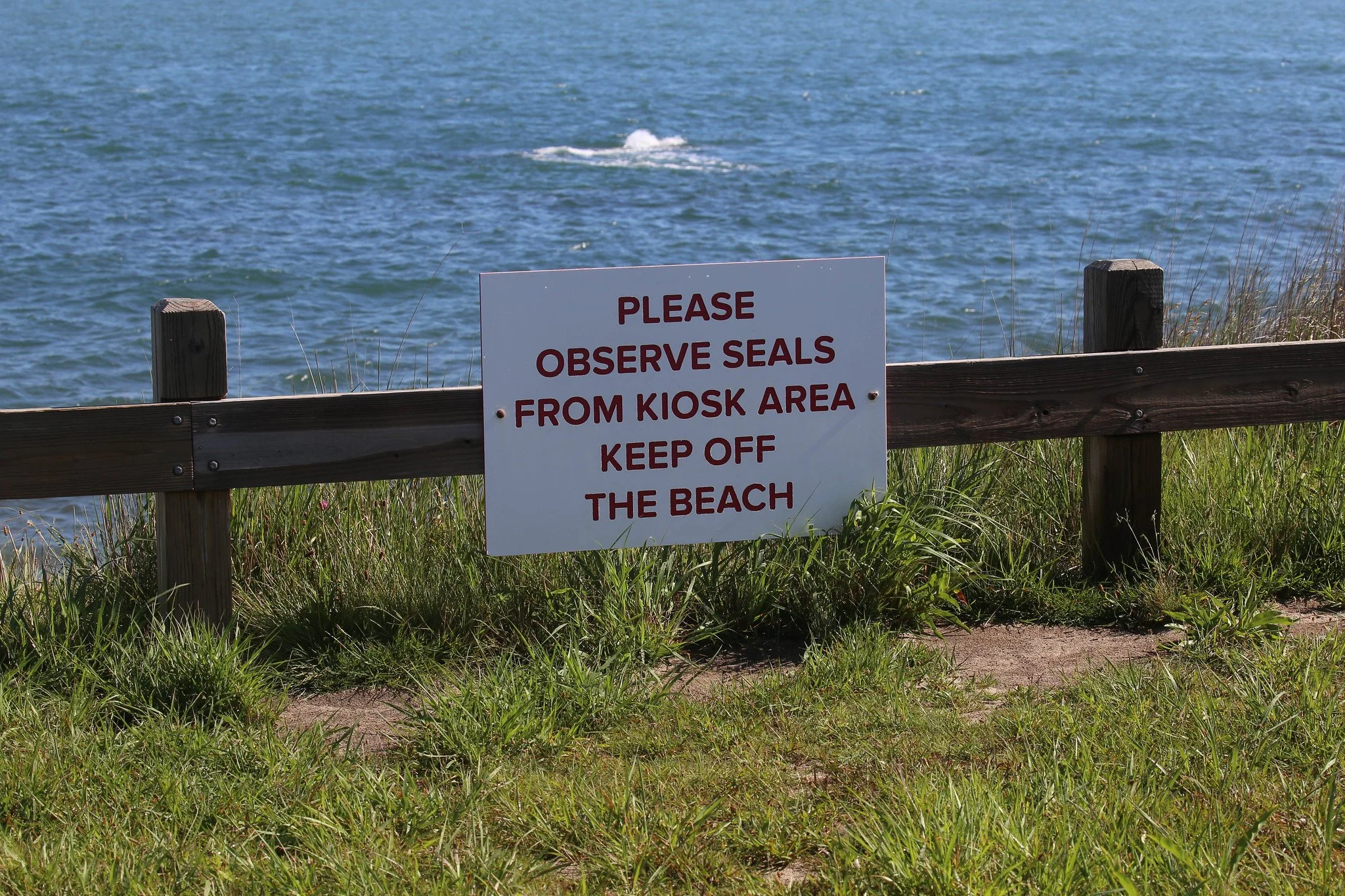 Montauk, Hither Hills State Park, Montauk Point State Park