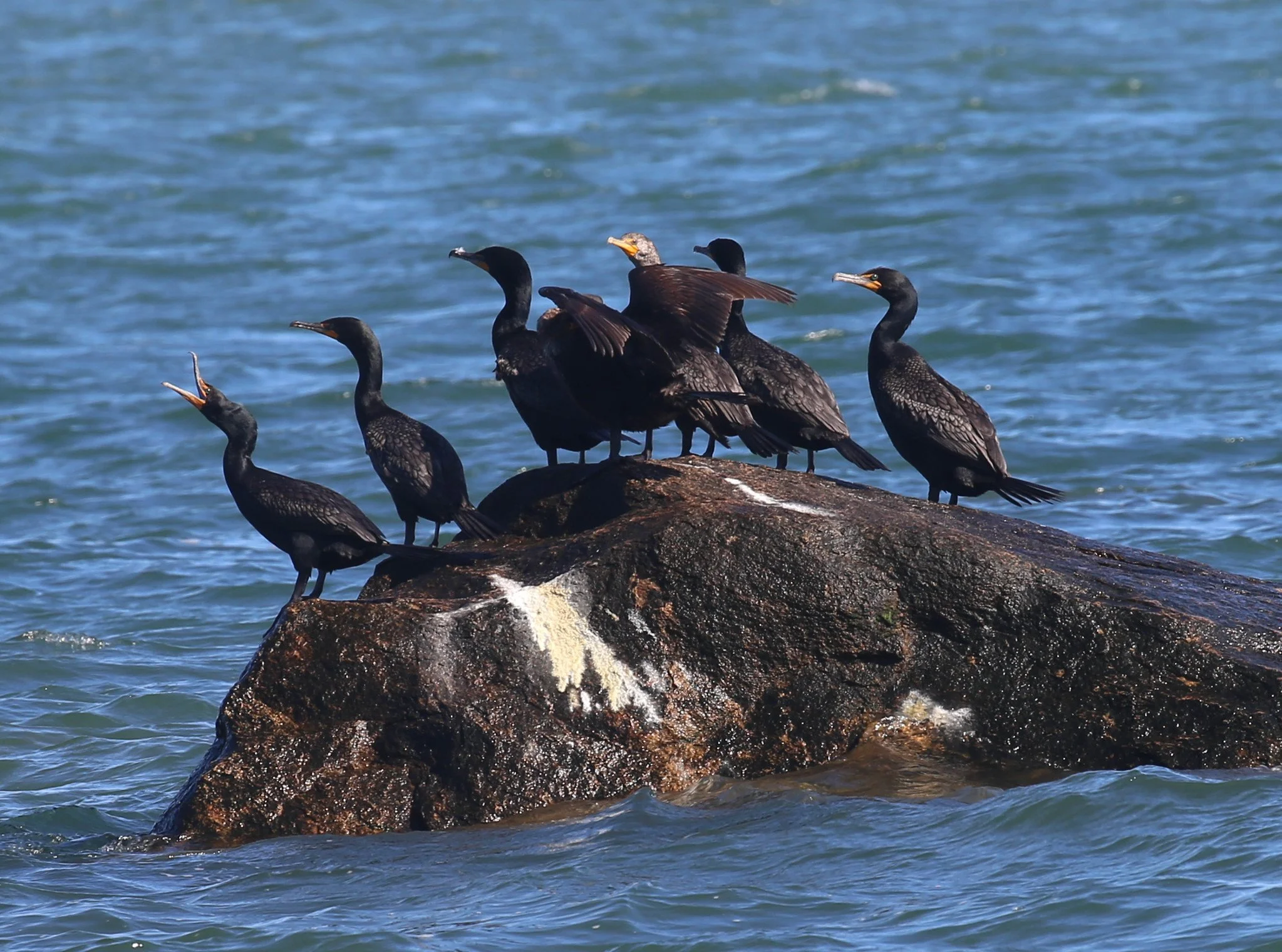 Montauk, Hither Hills State Park, Montauk Point State Park