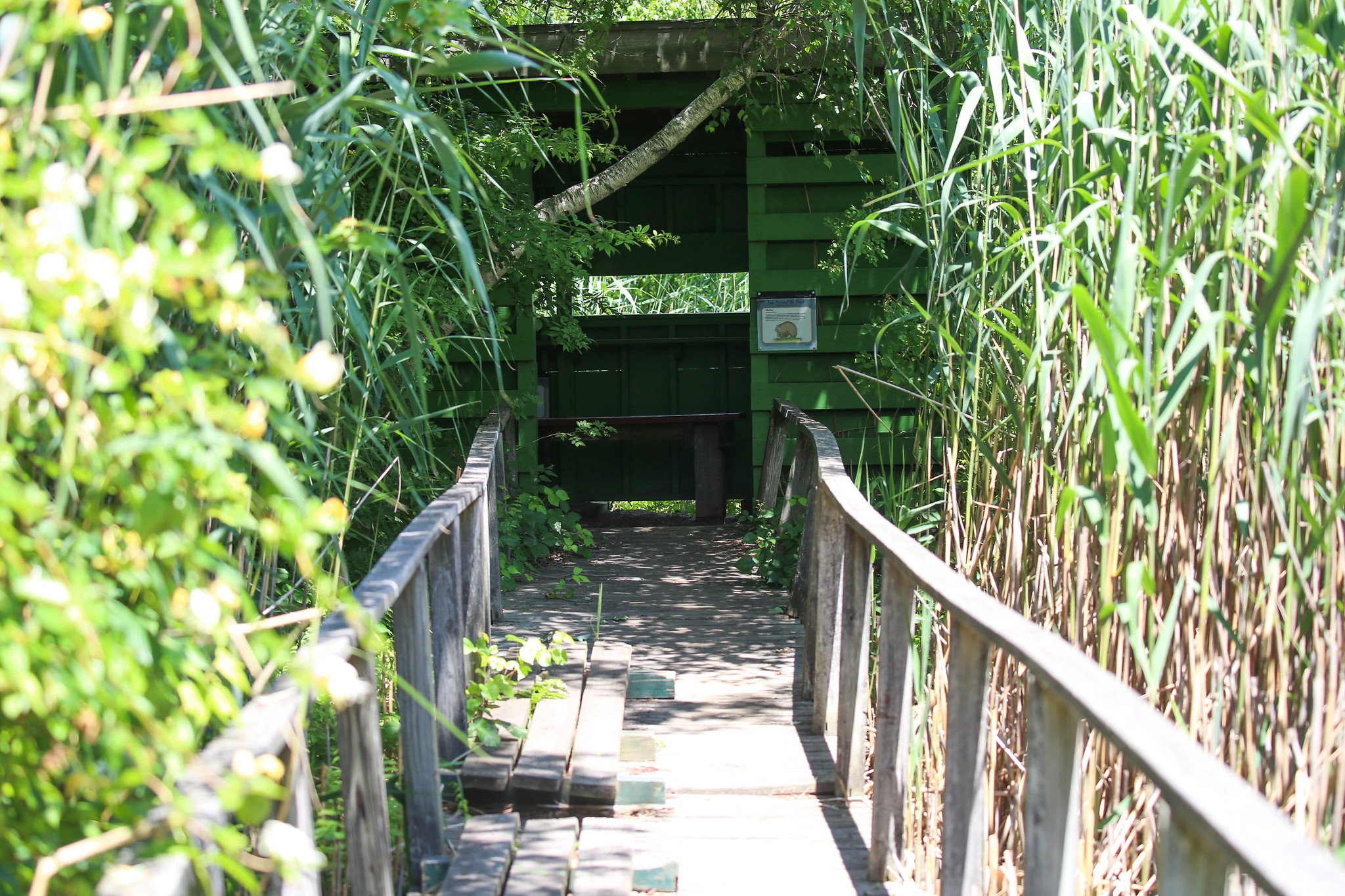 Jamaica Bay Wildlife Refuge