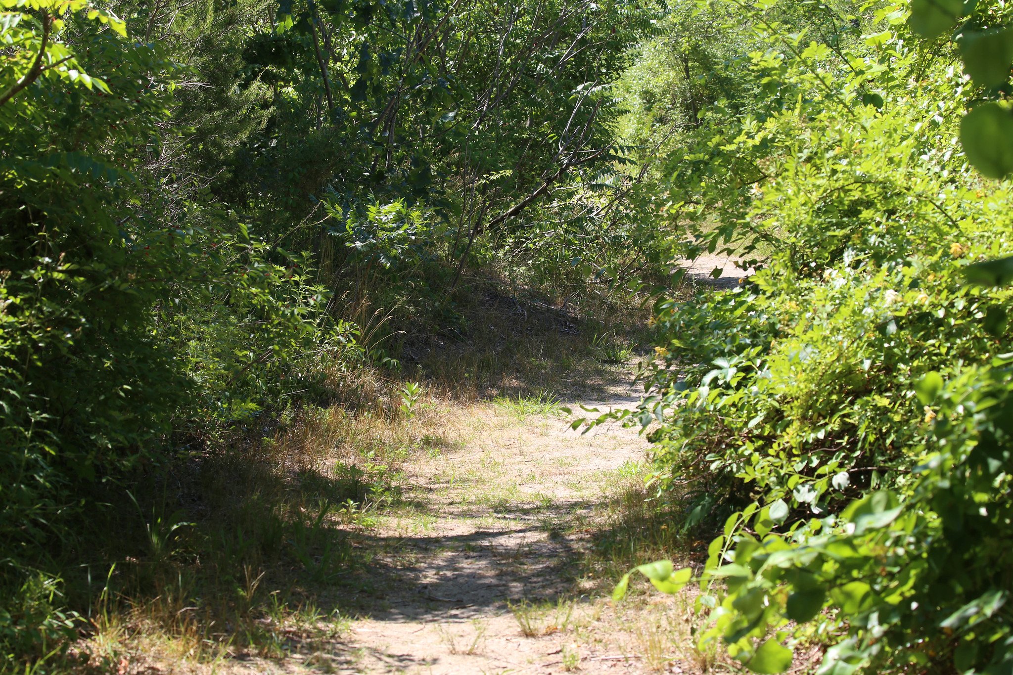 Jamaica Bay Wildlife Refuge