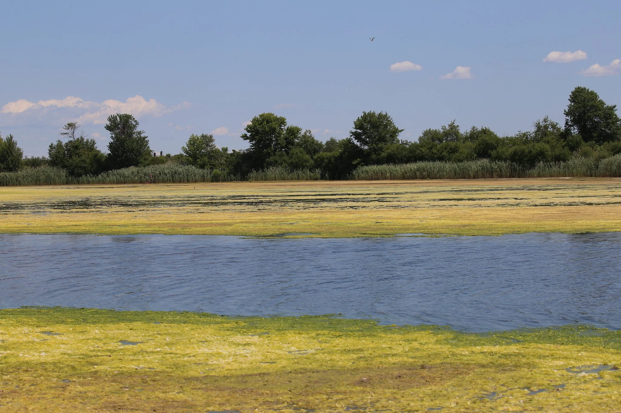 Jamaica Bay Wildlife Refuge