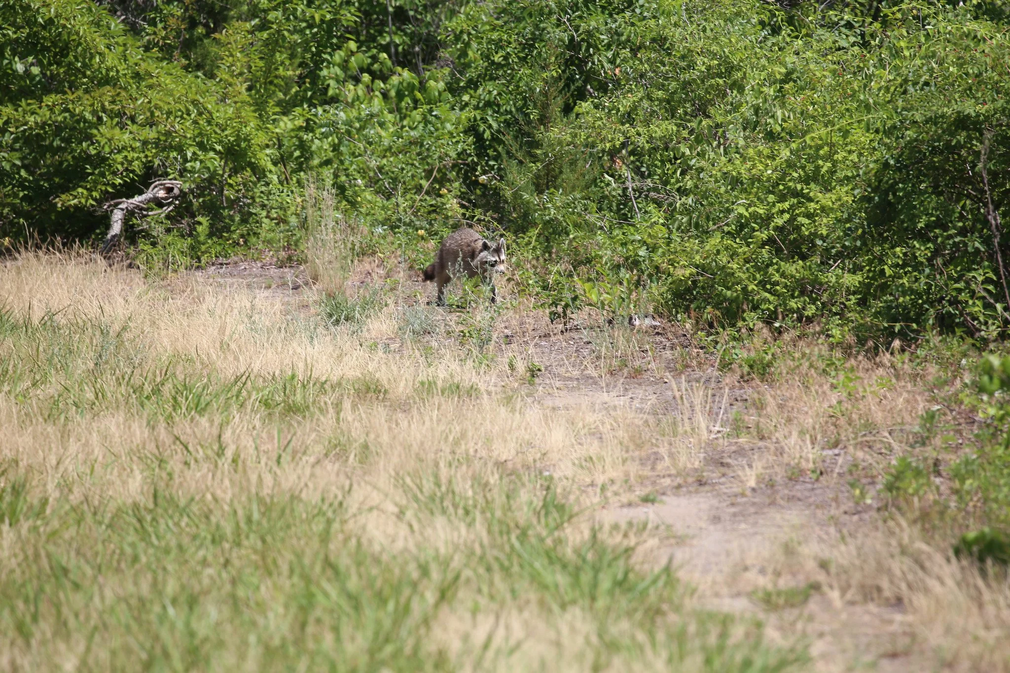 Jamaica Bay Wildlife Refuge