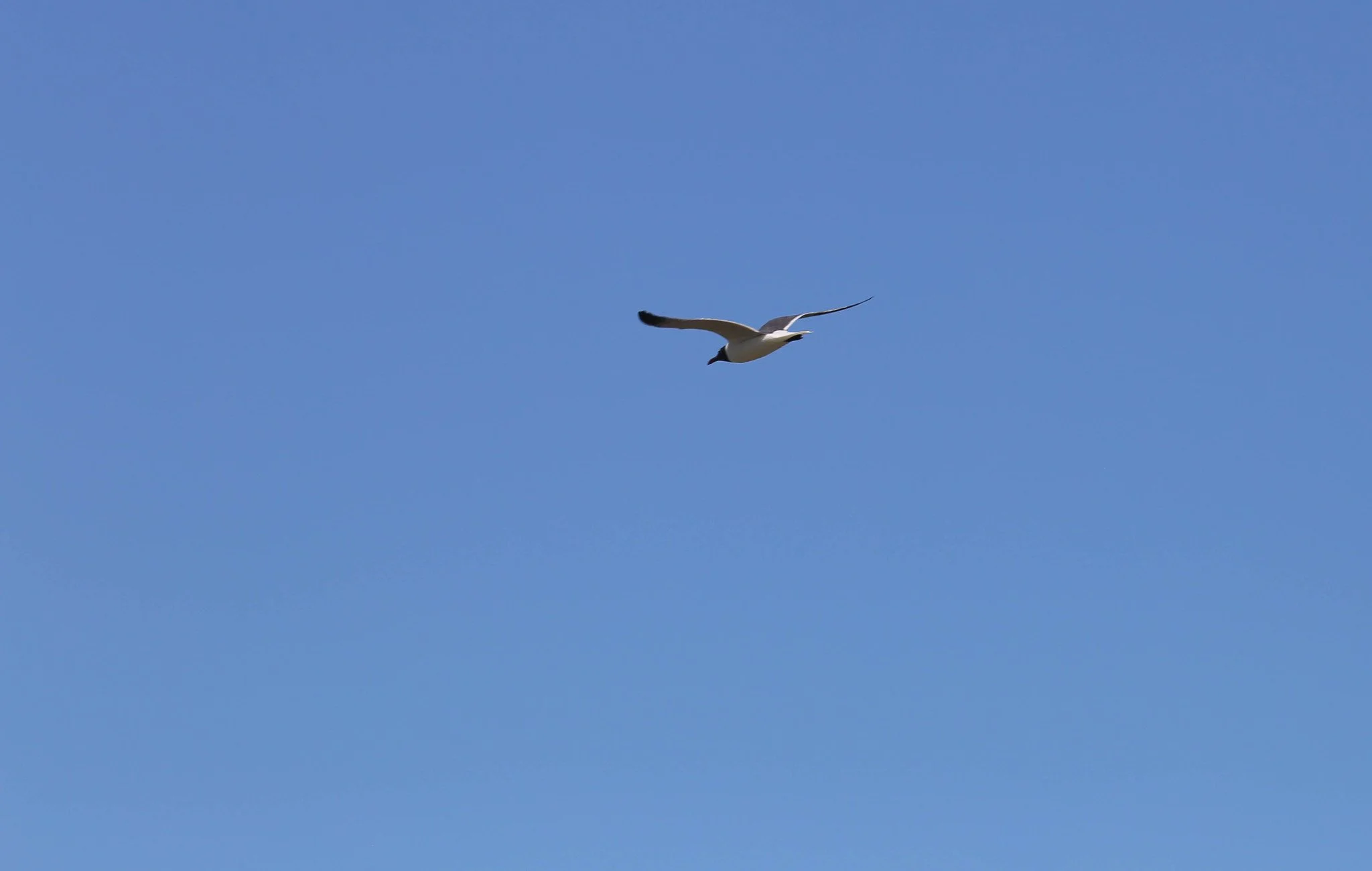 Jamaica Bay Wildlife Refuge