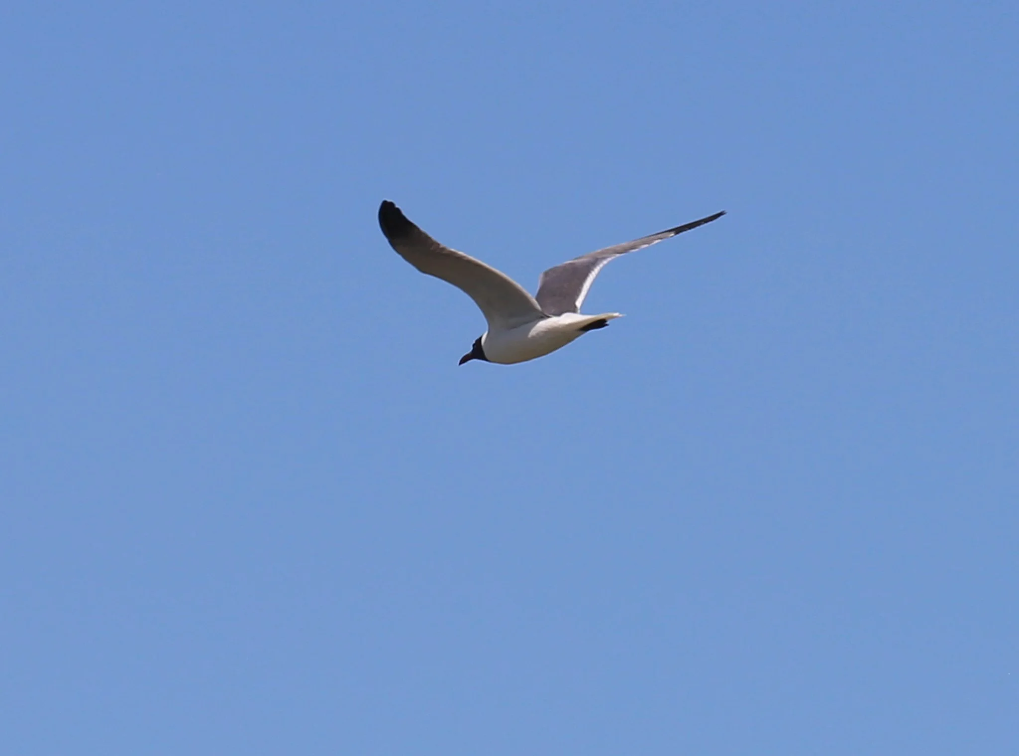 Jamaica Bay Wildlife Refuge