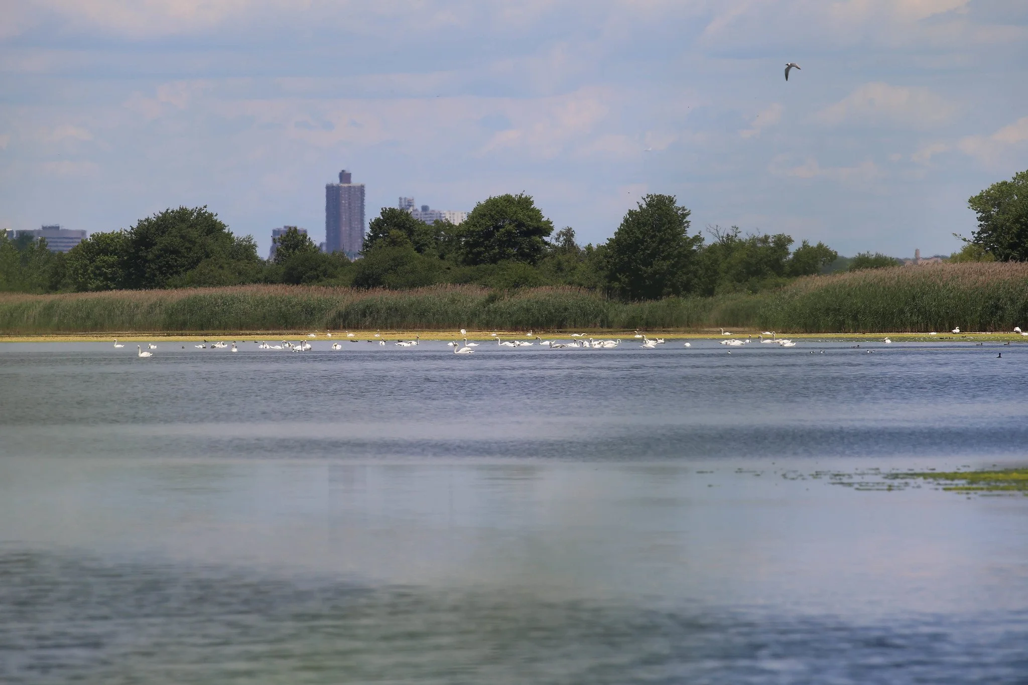 Jamaica Bay Wildlife Refuge