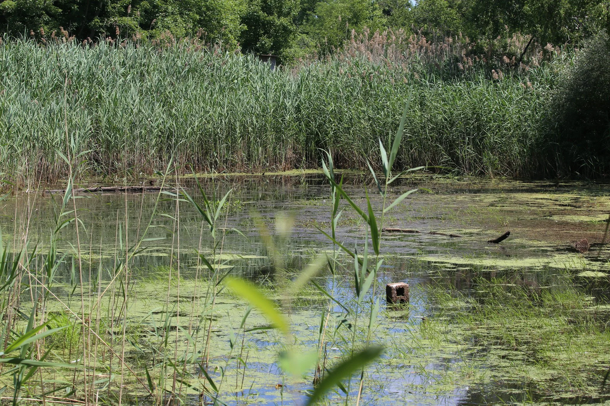 Jamaica Bay Wildlife Refuge