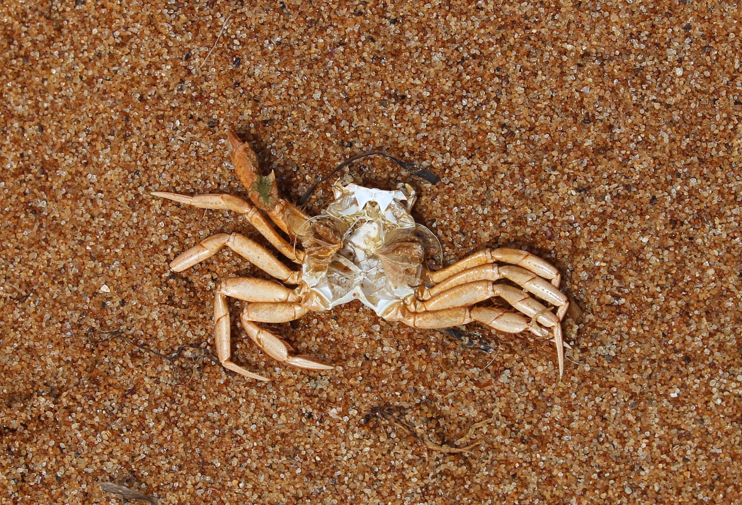 WEB-2269.jpg