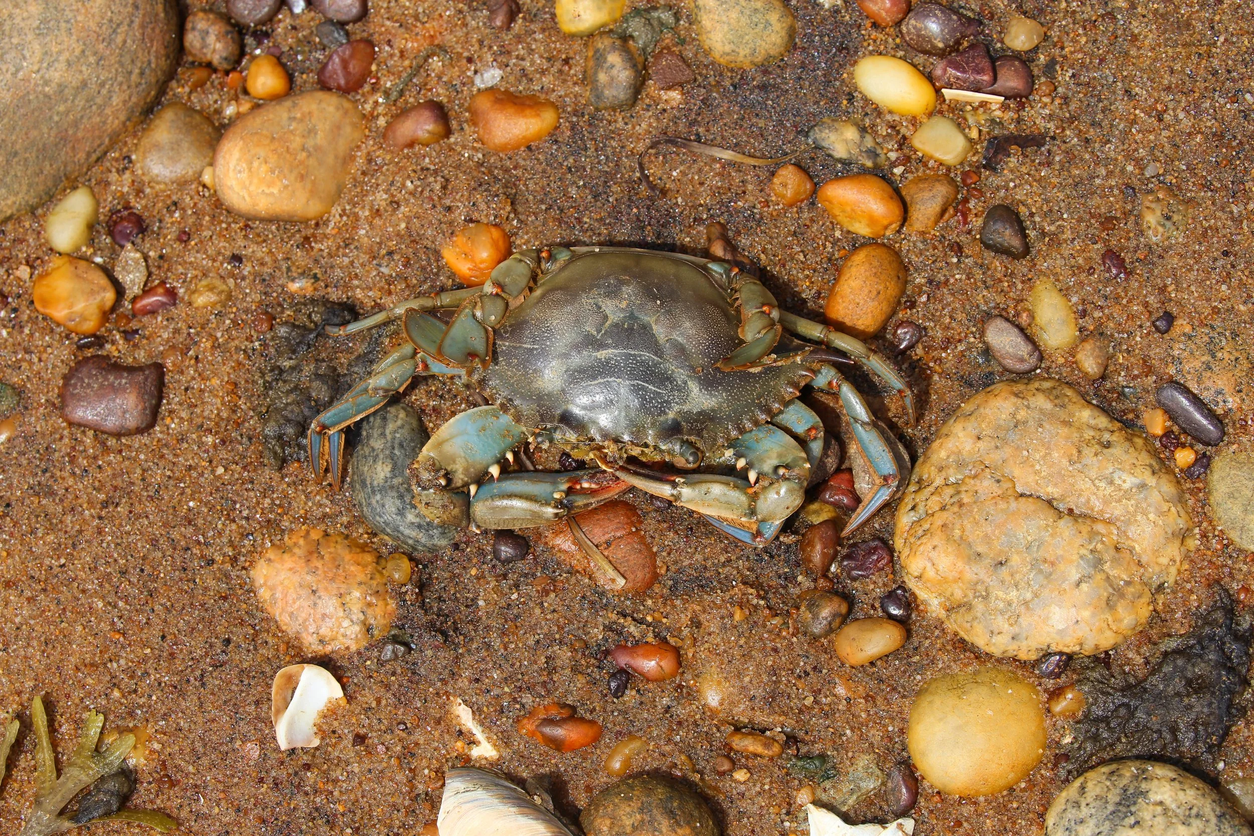 WEB-2294.jpg