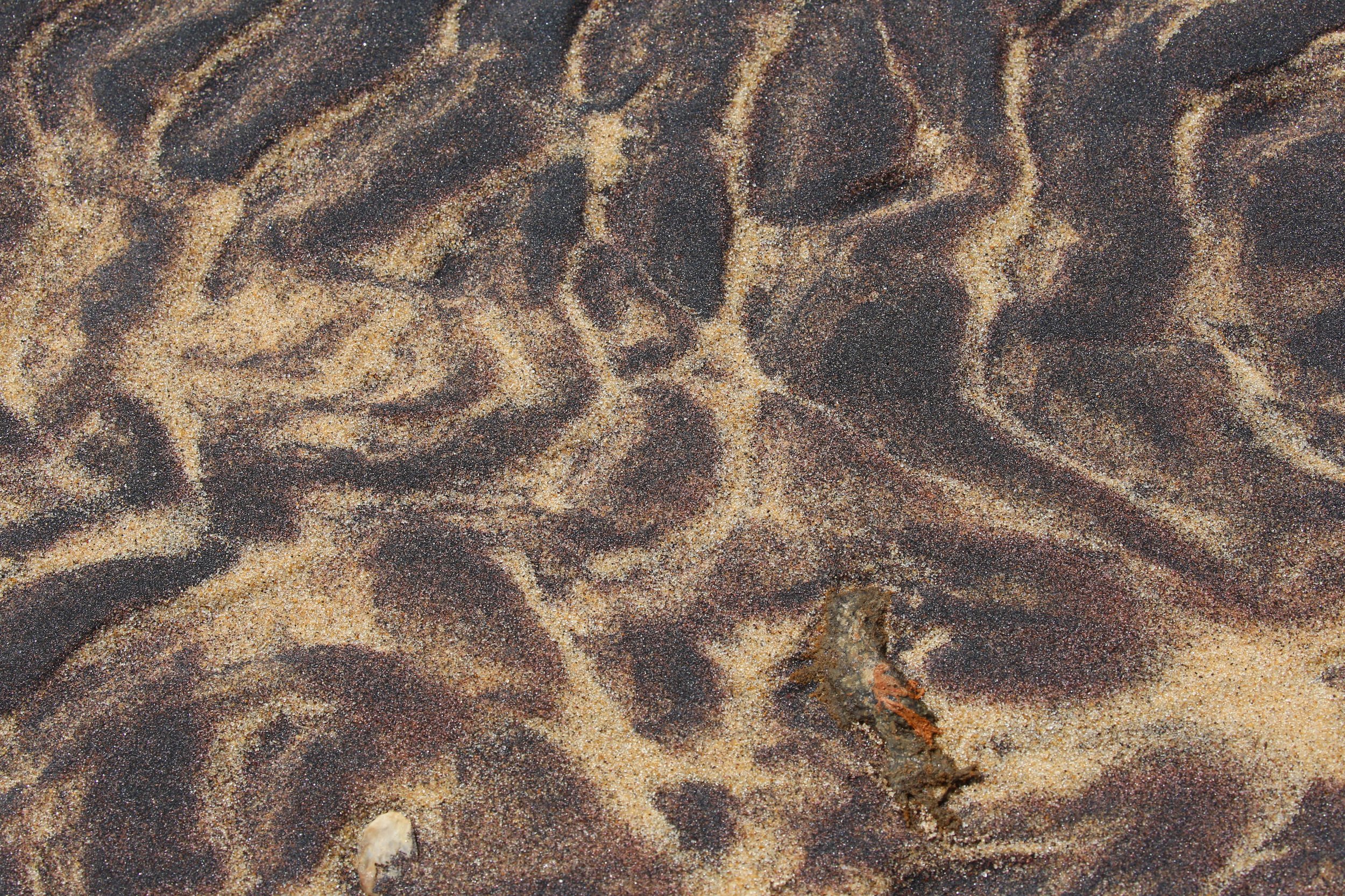 WEB-2314.jpg