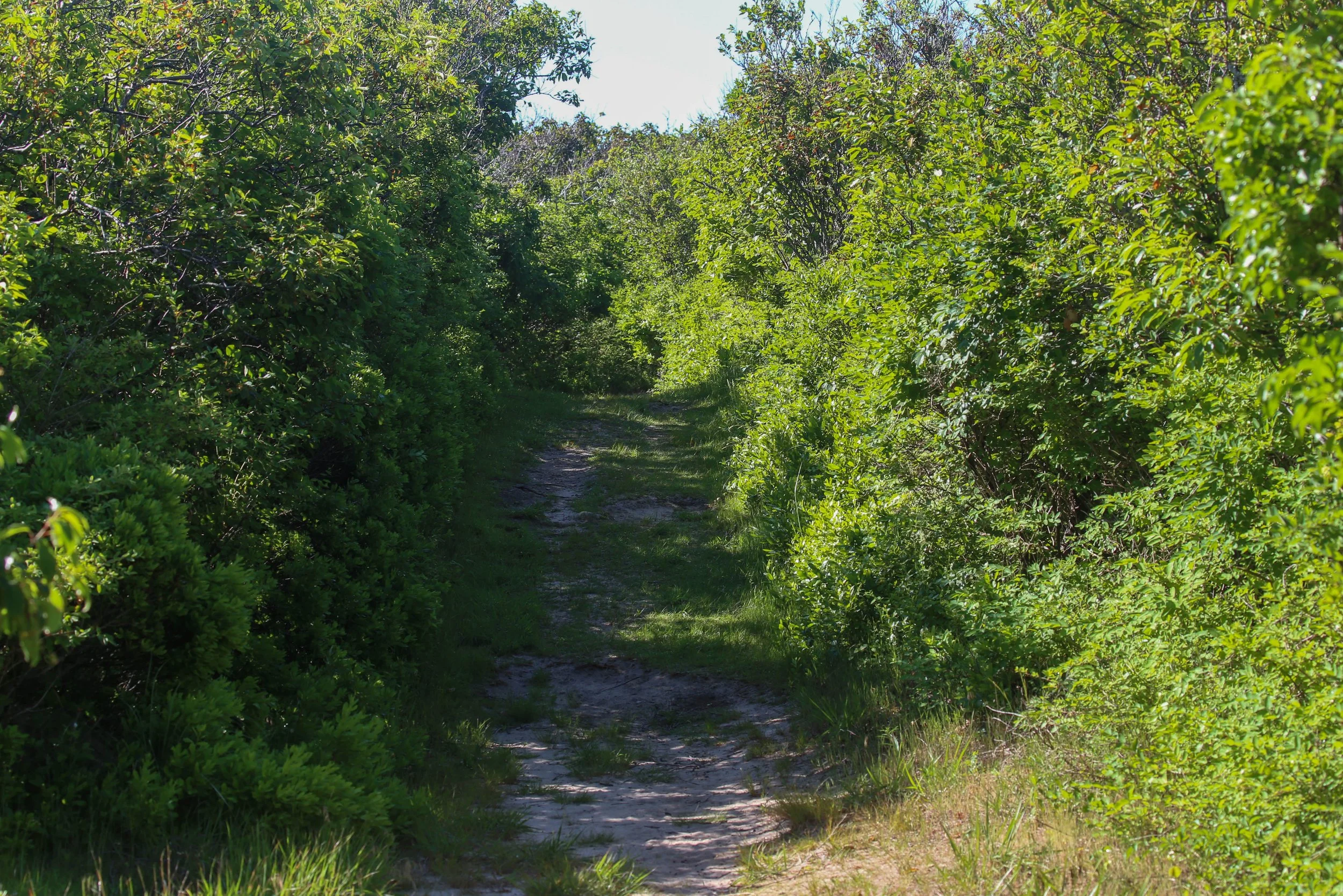 WEB-2470.jpg