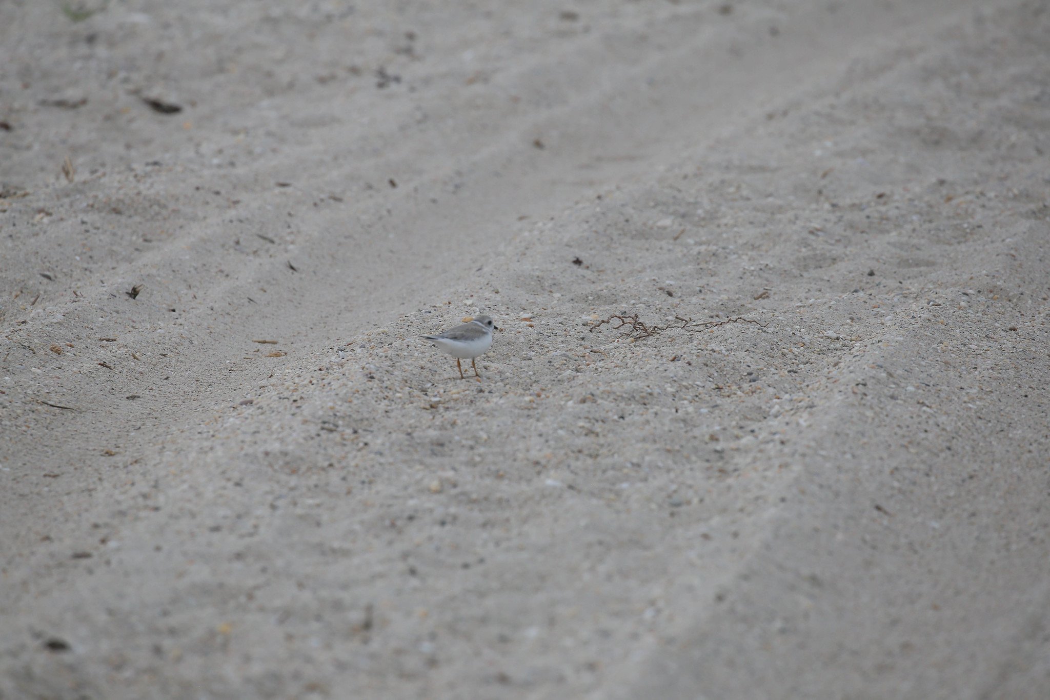 Sunken Meadow State Park, Long Island, NY