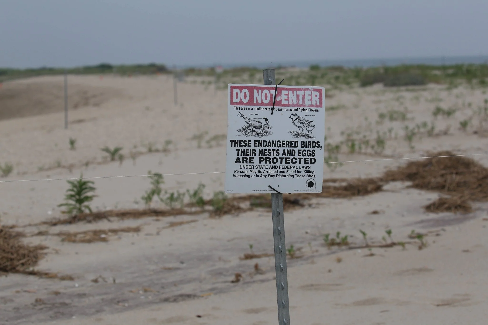 Sunken Meadow State Park, Long Island, NY