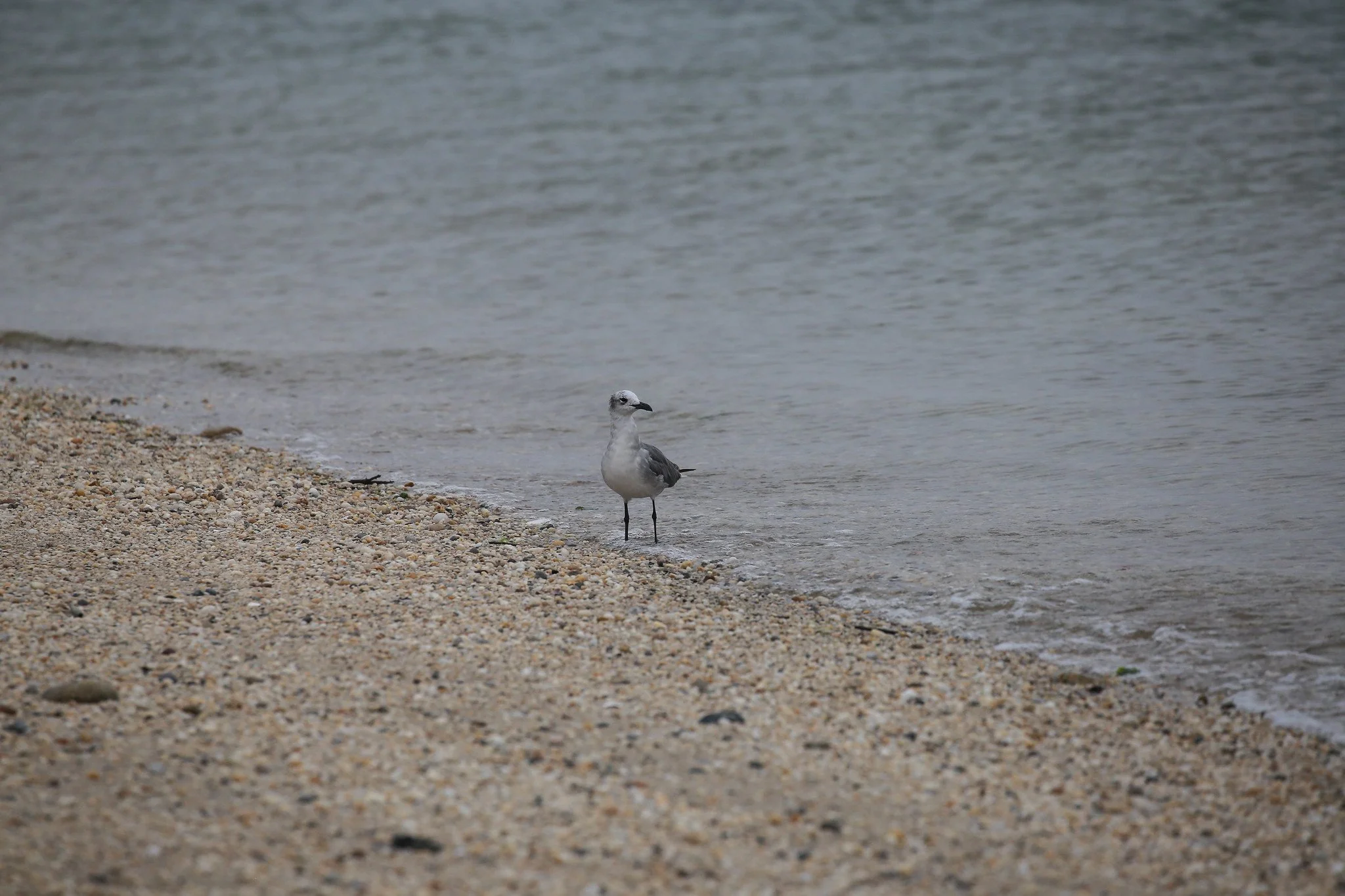 Sunken Meadow State Park, Long Island, NY