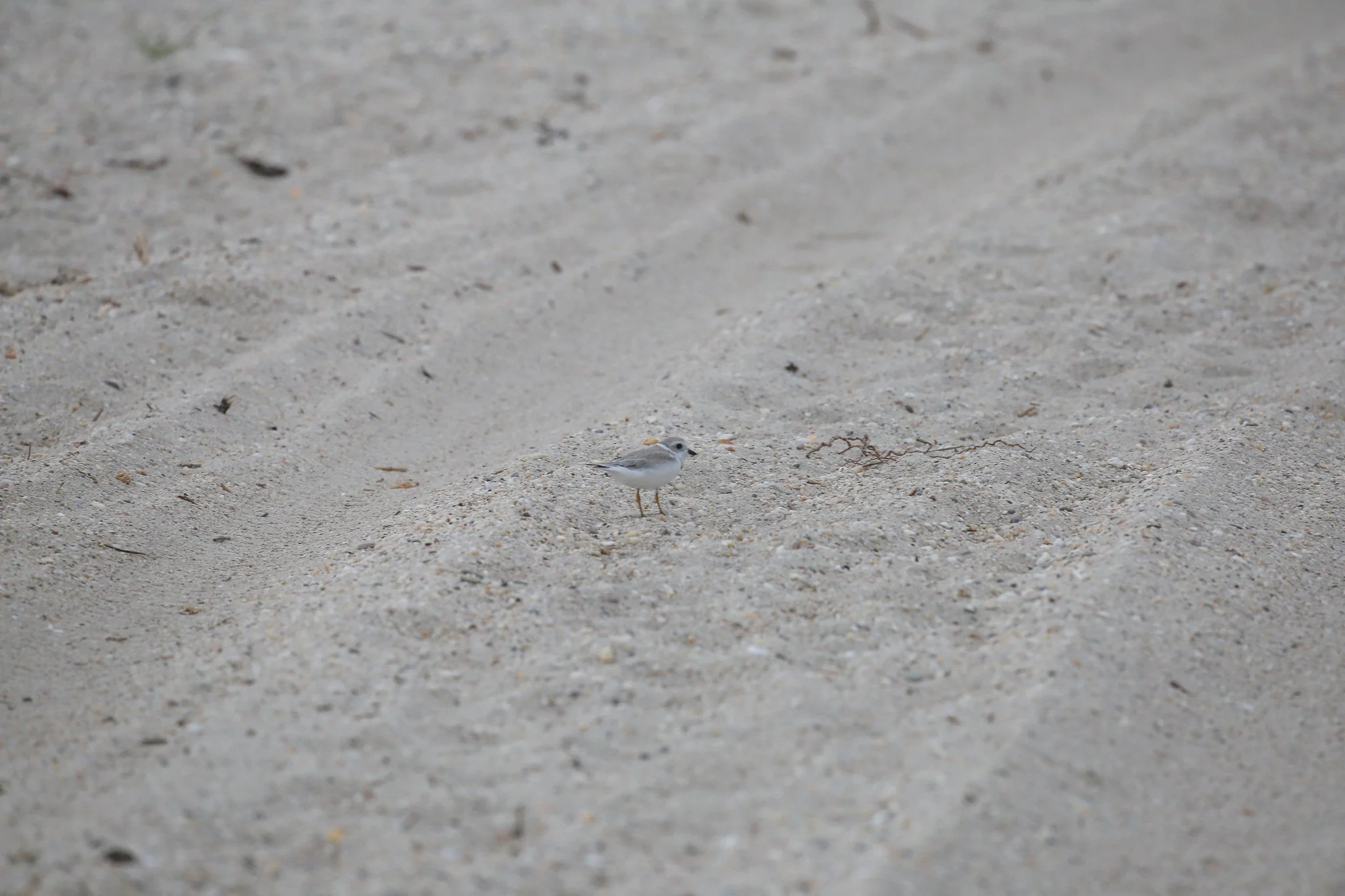 Sunken Meadow State Park, Long Island, NY