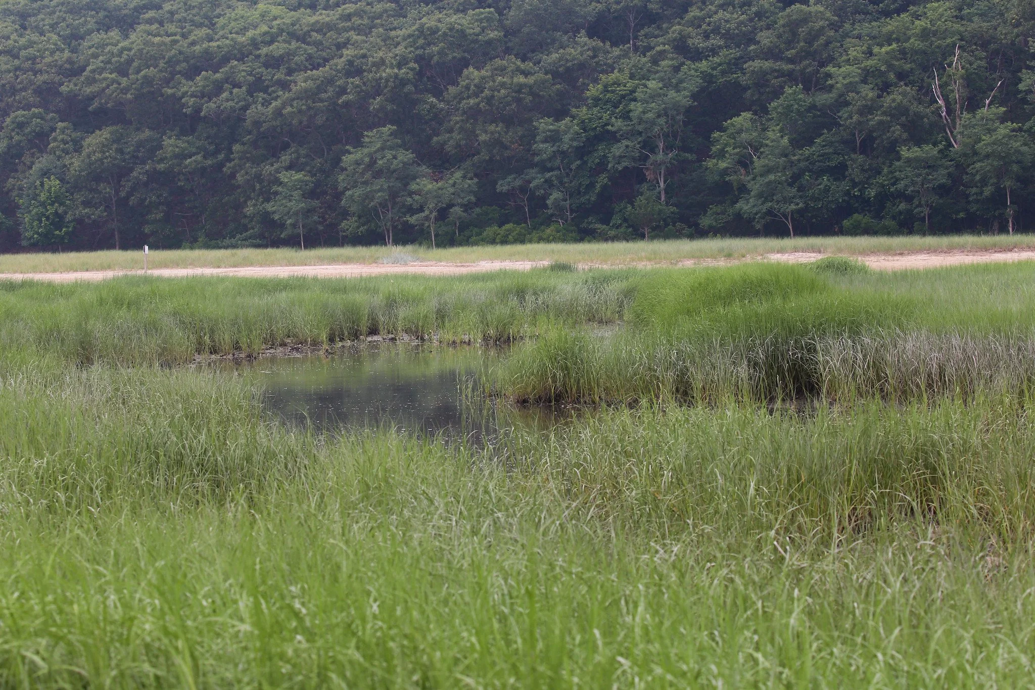 Sunken Meadow State Park, Long Island, NY
