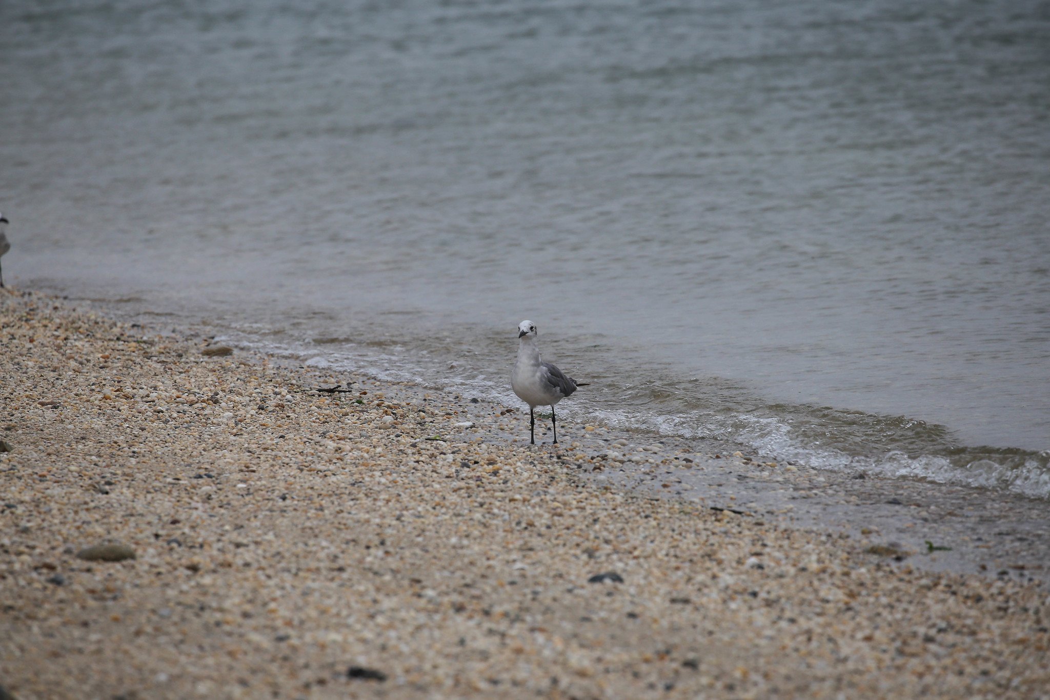 Sunken Meadow State Park, Long Island, NY