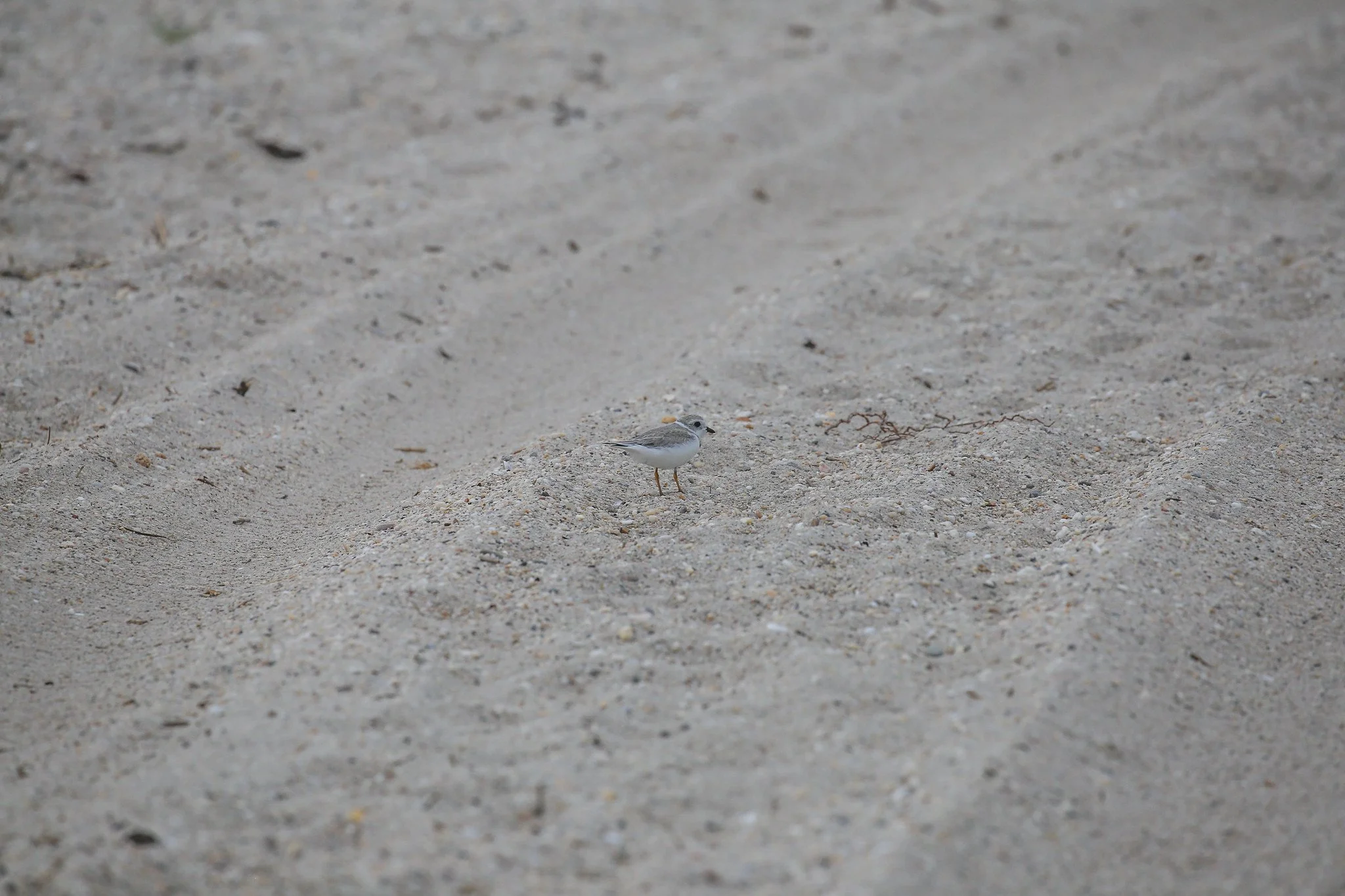 Sunken Meadow State Park, Long Island, NY