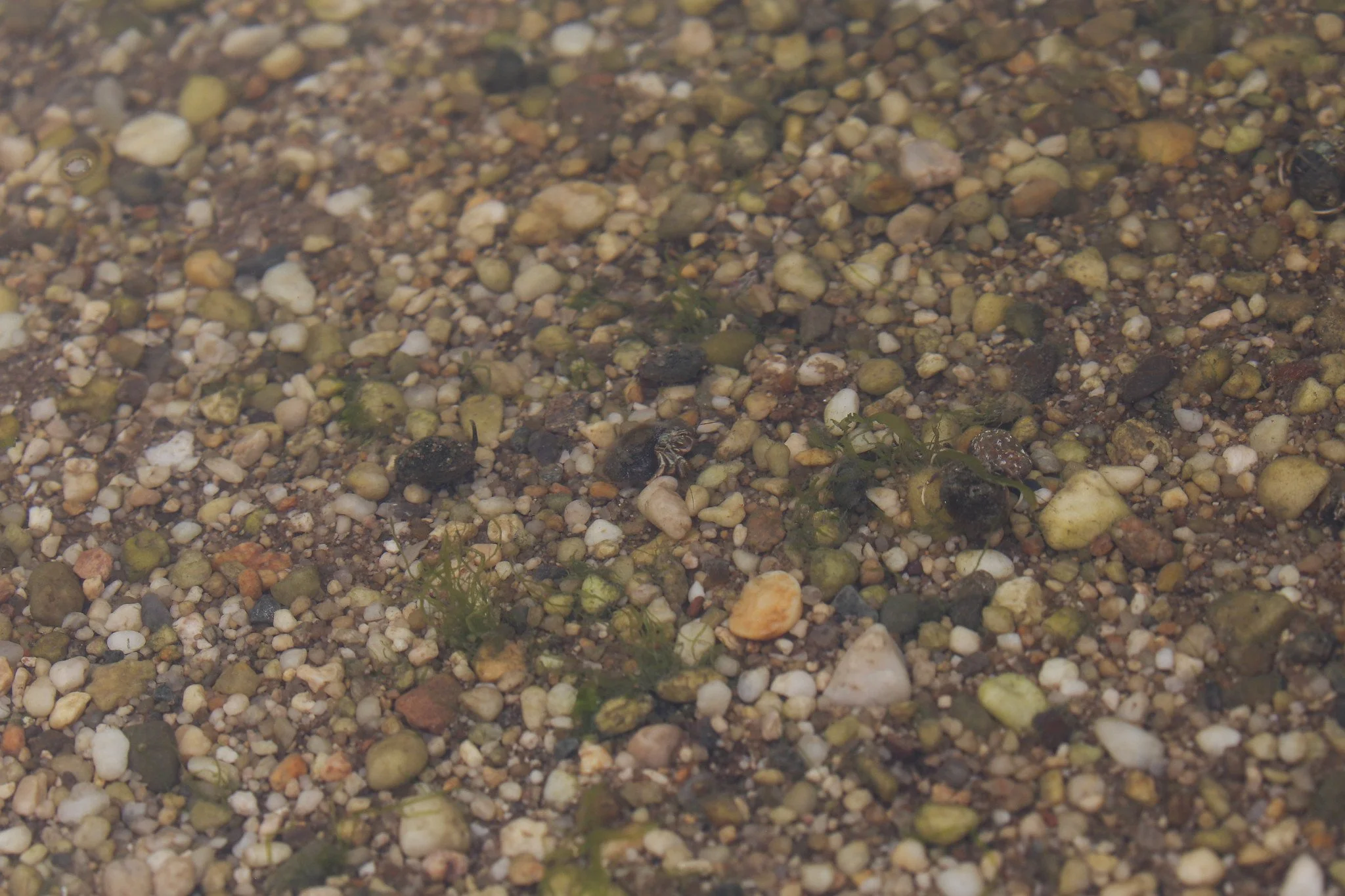 Sunken Meadow State Park, Long Island, NY