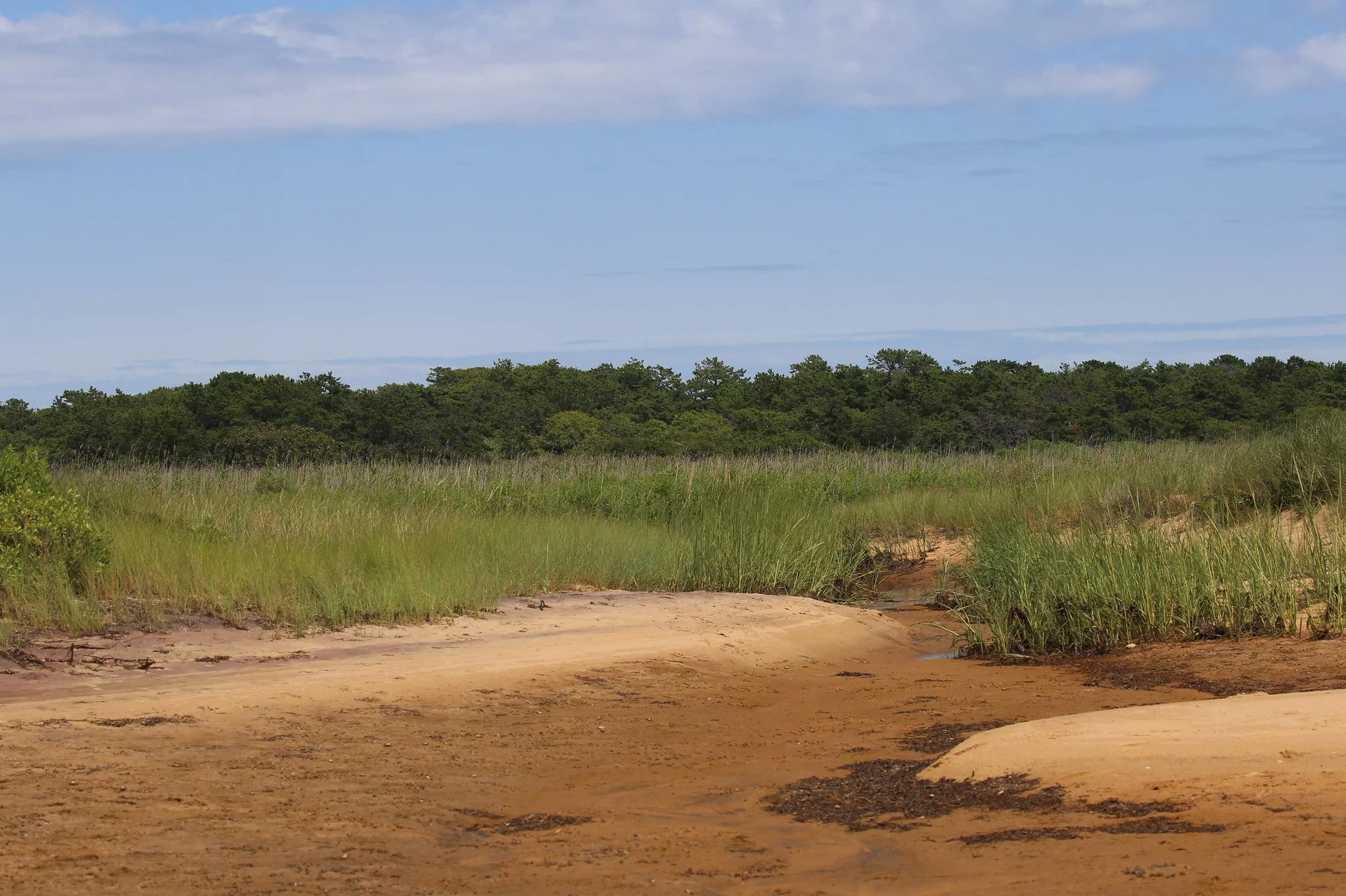 Montauk, NY, Iodine Beach, Hither Hills State Park, Napeague Harbor