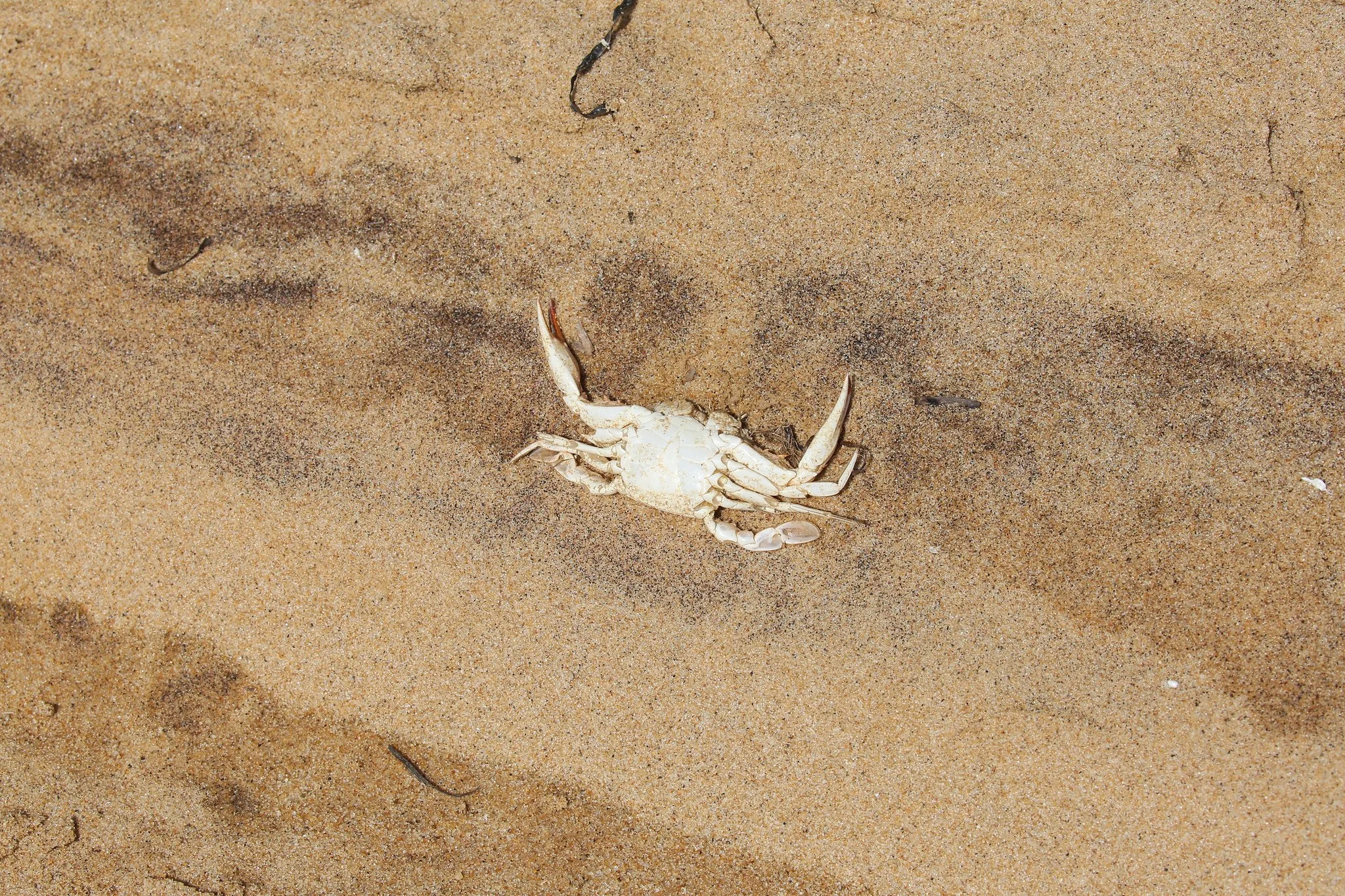 Montauk, NY, Iodine Beach, Hither Hills State Park, Napeague Harbor