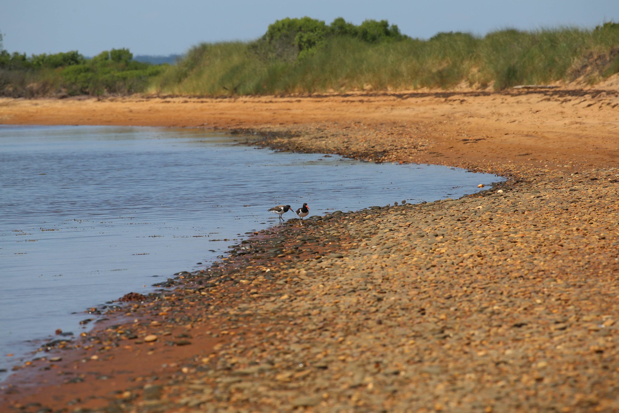 Montauk, NY, Iodine Beach, Hither Hills State Park, Napeague Harbor