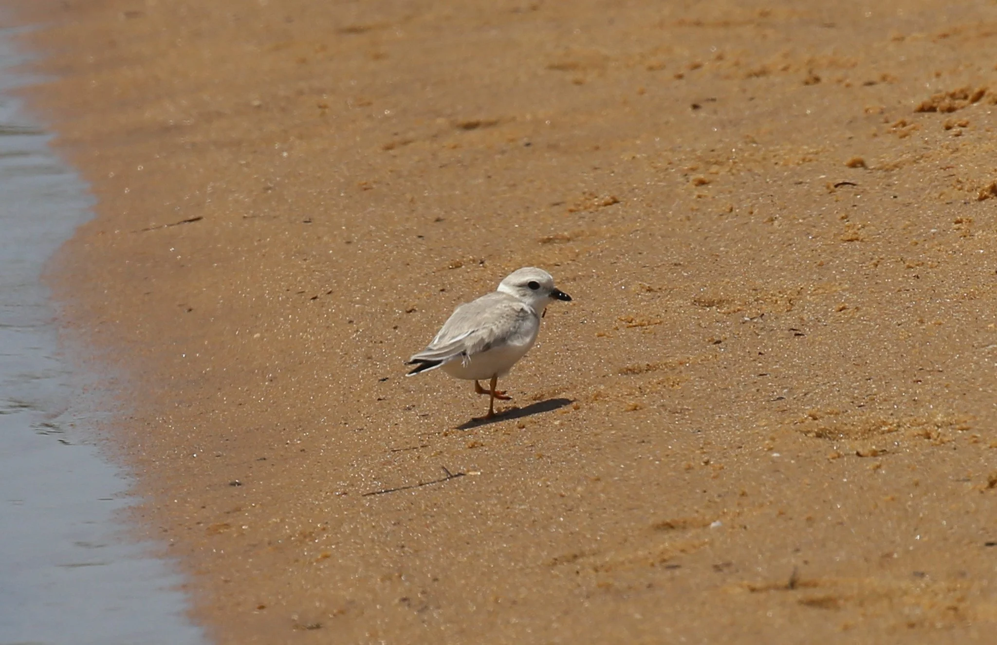Montauk, NY, Iodine Beach, Hither Hills State Park, Napeague Harbor