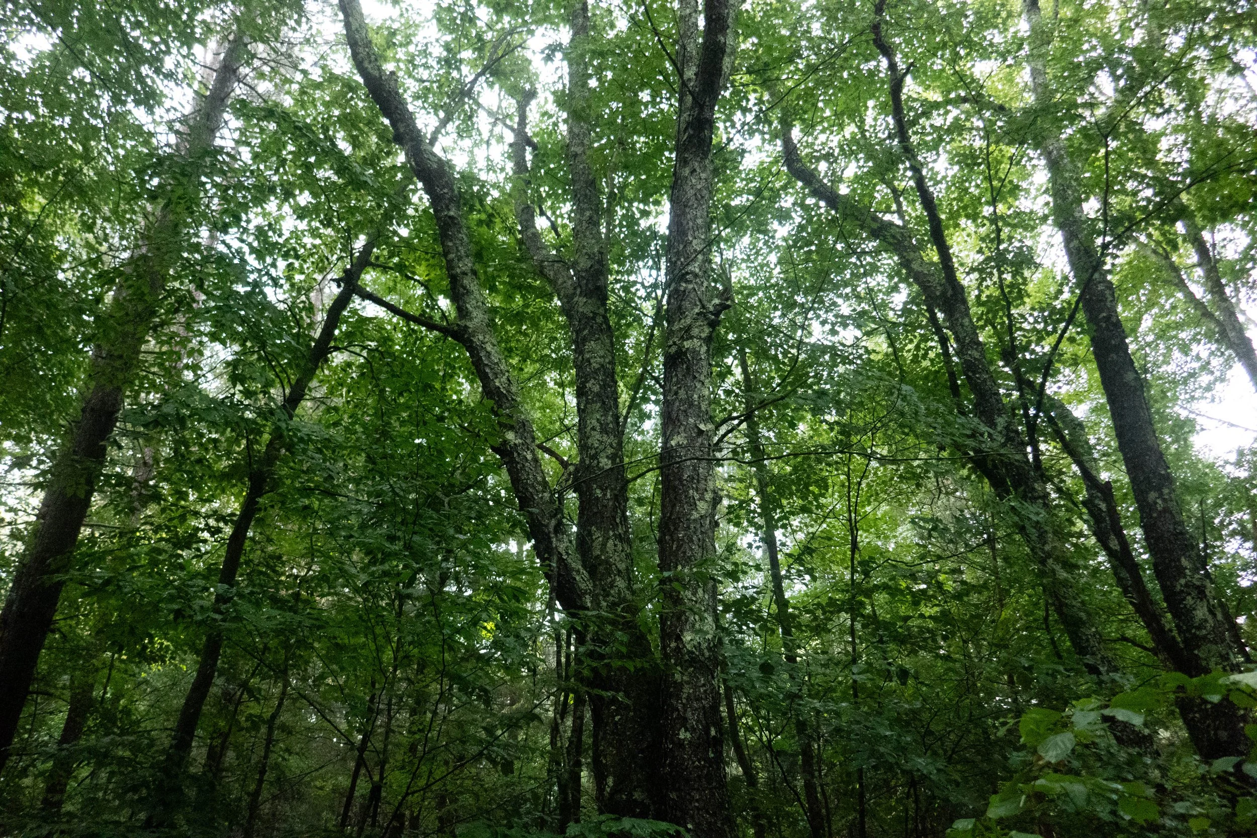 WEB-1400109.jpg