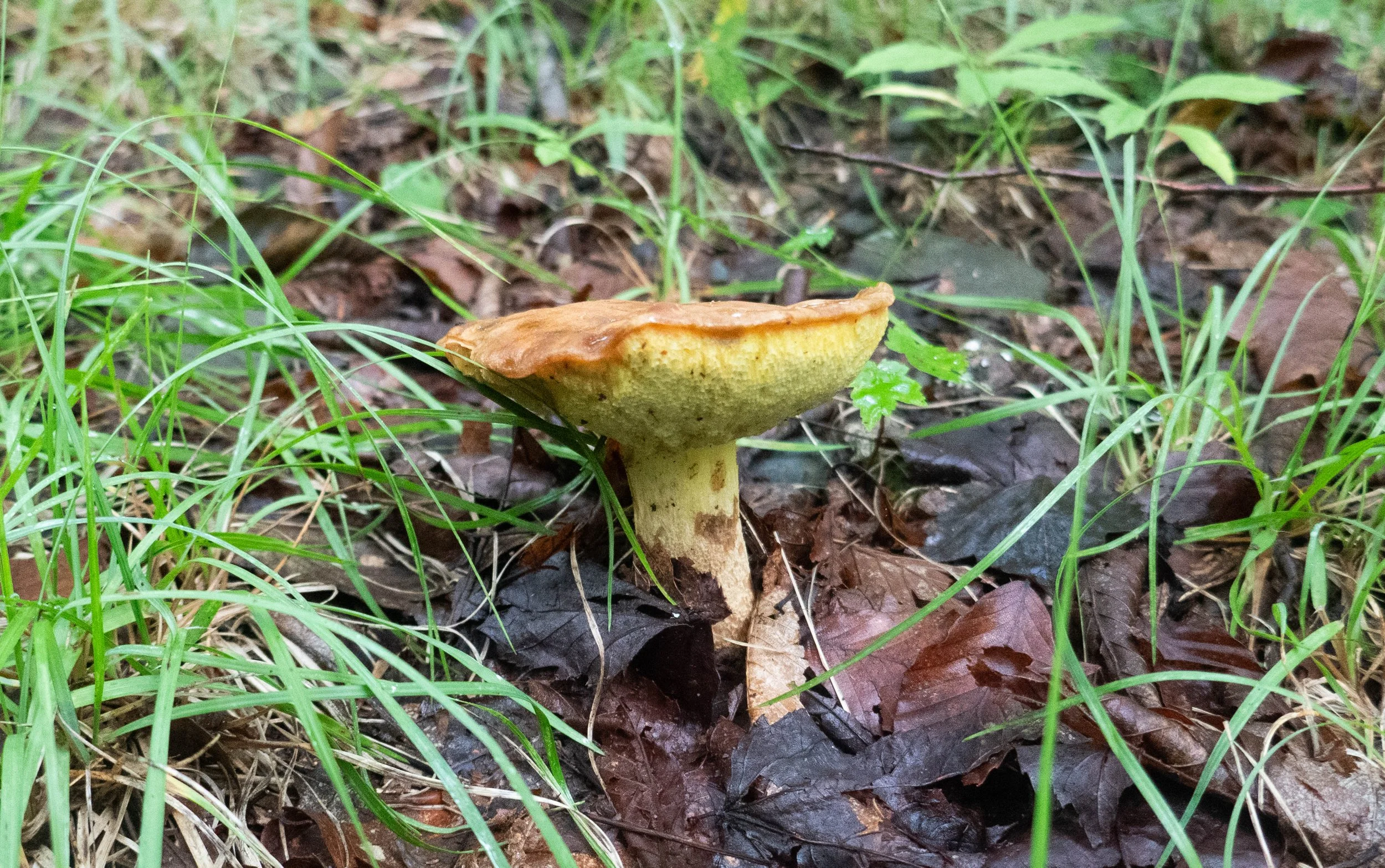 WEB-1400129.jpg