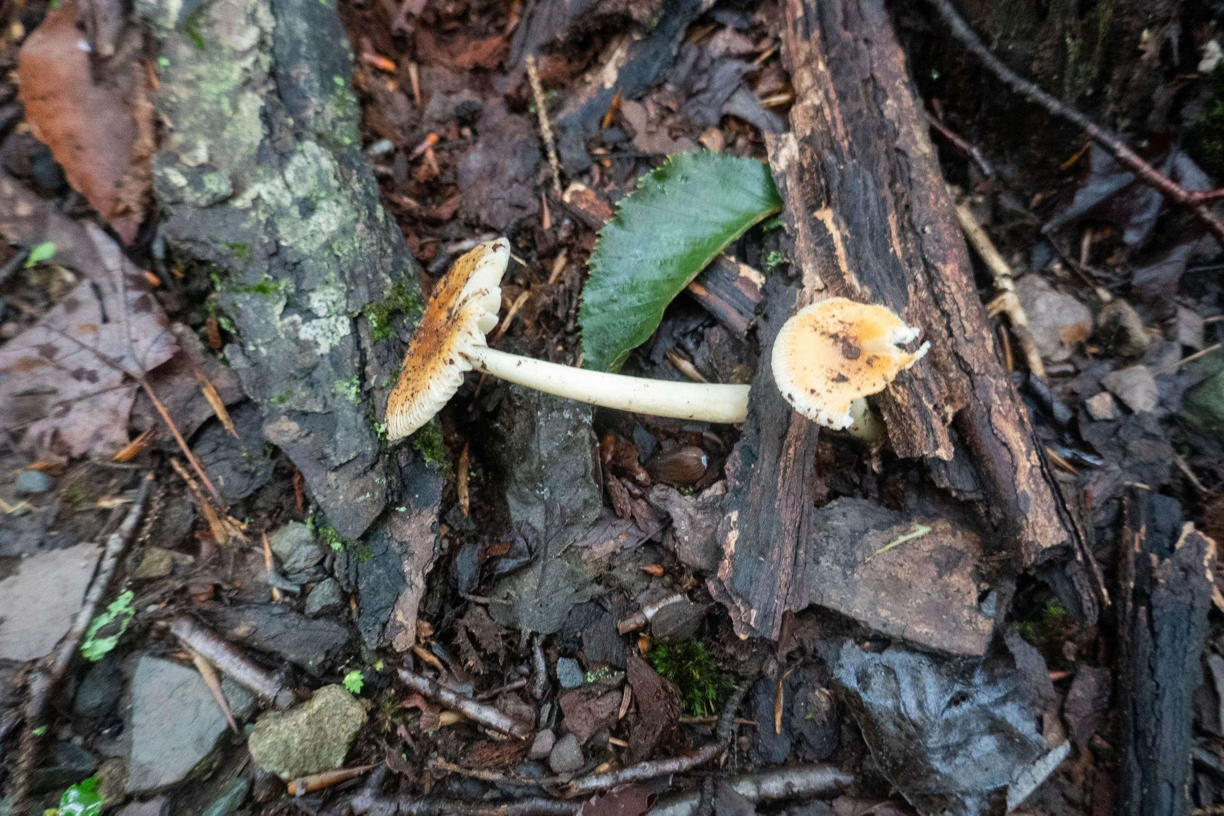 WEB-1400130.jpg