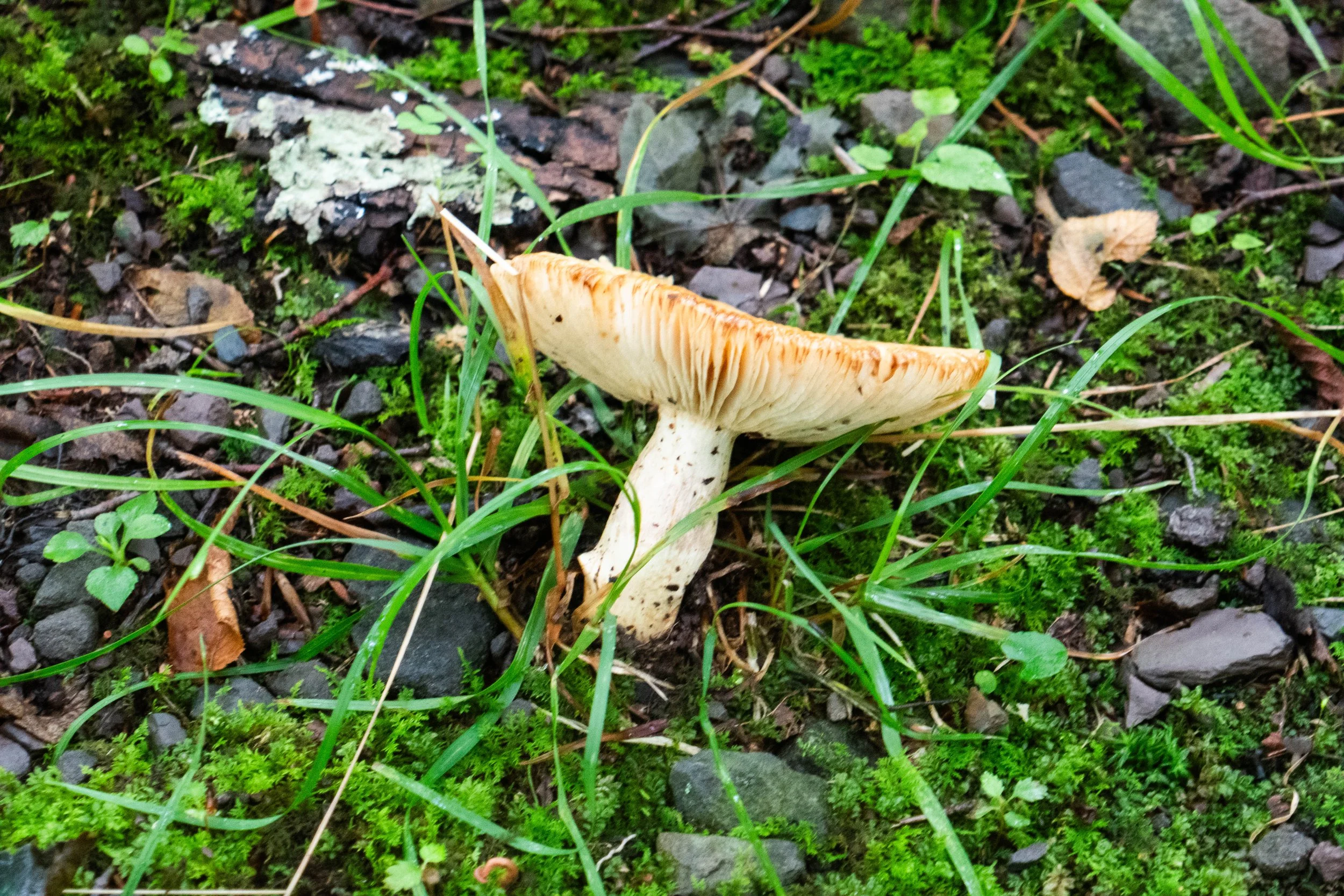 WEB-1400133.jpg